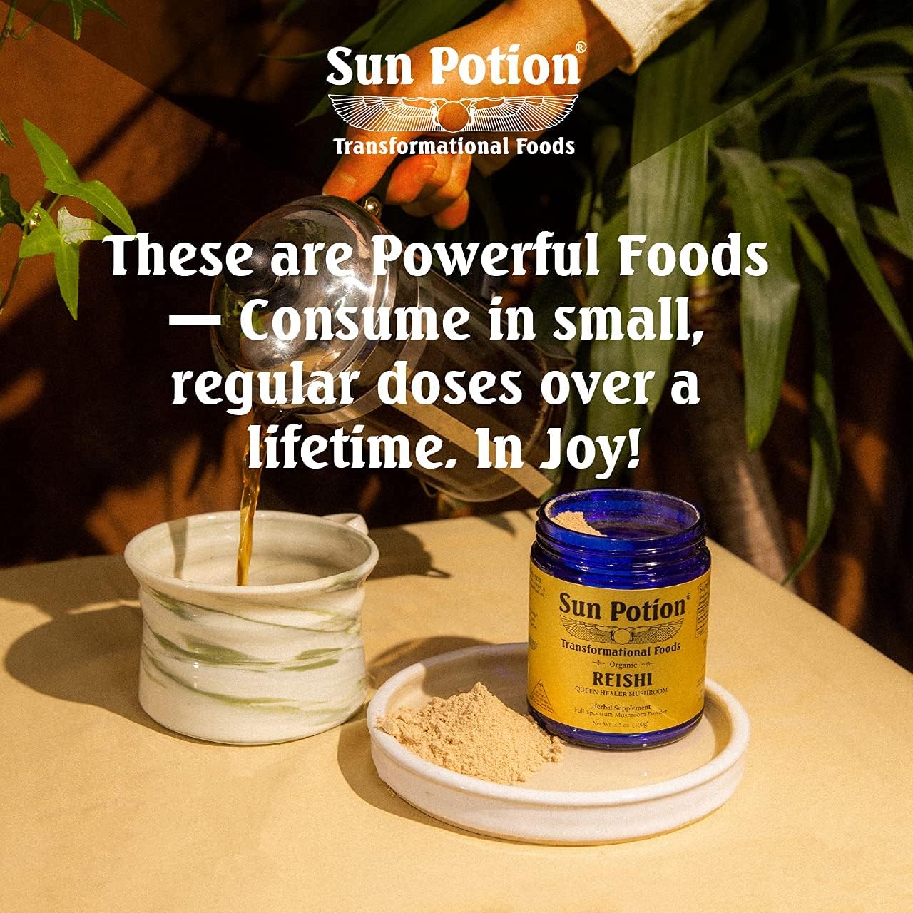 Organic Sun Potion Reishi Mushroom Powder - 100g Packet