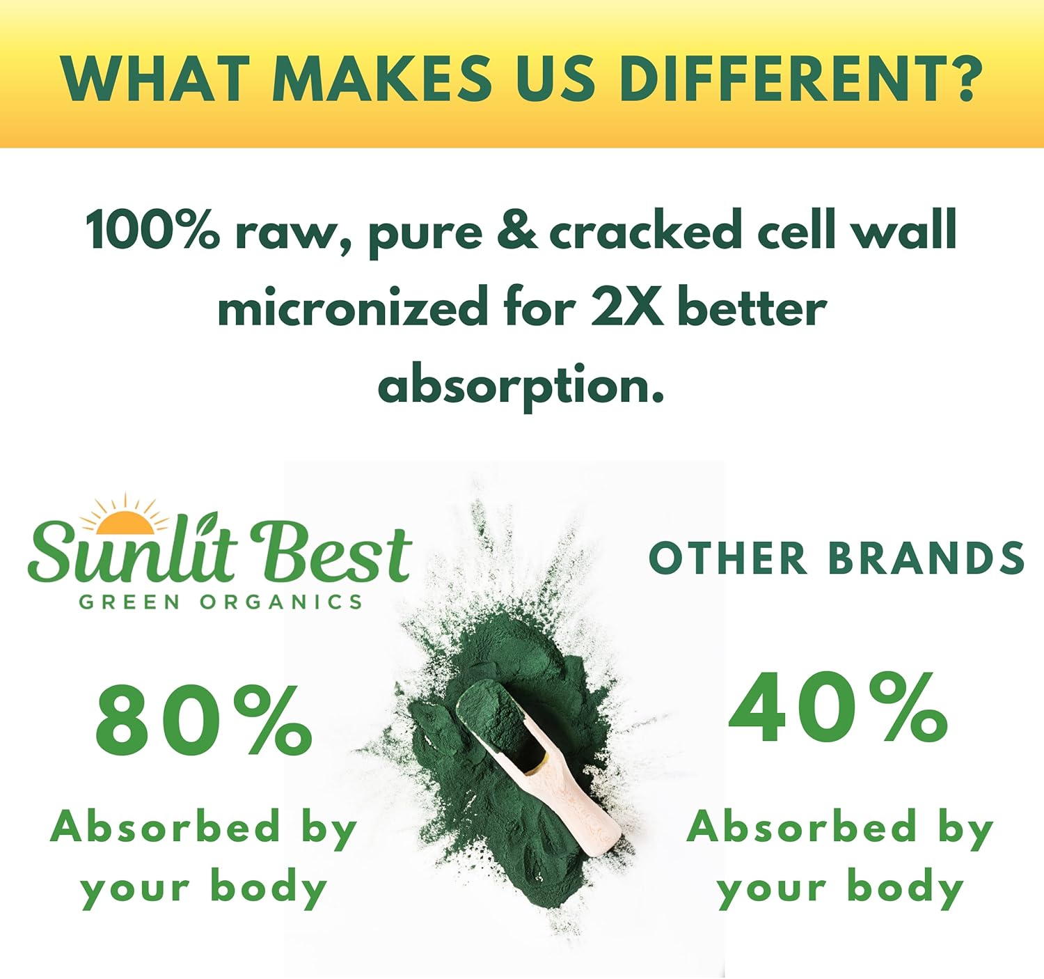 Organic Sunlit Best Chlorella Powder - Vegan Source of Protein & Chlorophyll, Non GMO Superfood Energy Drink for Immune & Gut Health, 8 oz