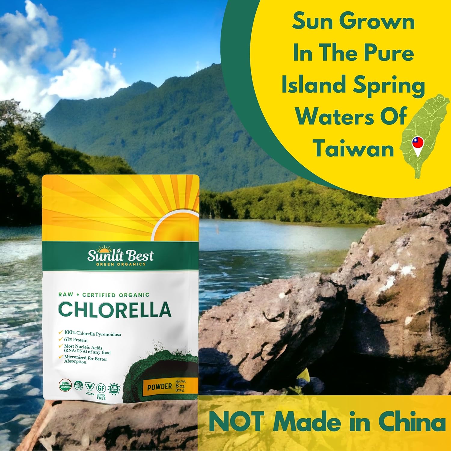 Organic Sunlit Best Chlorella Powder - Vegan Source of Protein & Chlorophyll, Non GMO Superfood Energy Drink for Immune & Gut Health, 8 oz