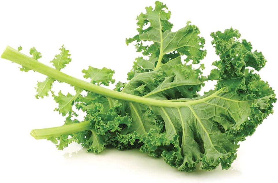 Organic Superfood Greens Powder Drink with Spirulina, Chlorophyll, Barley Grass, Kale, Spinach, Goji Berry, Raspberry - Natura Health Products N-liven Supplement (180g)