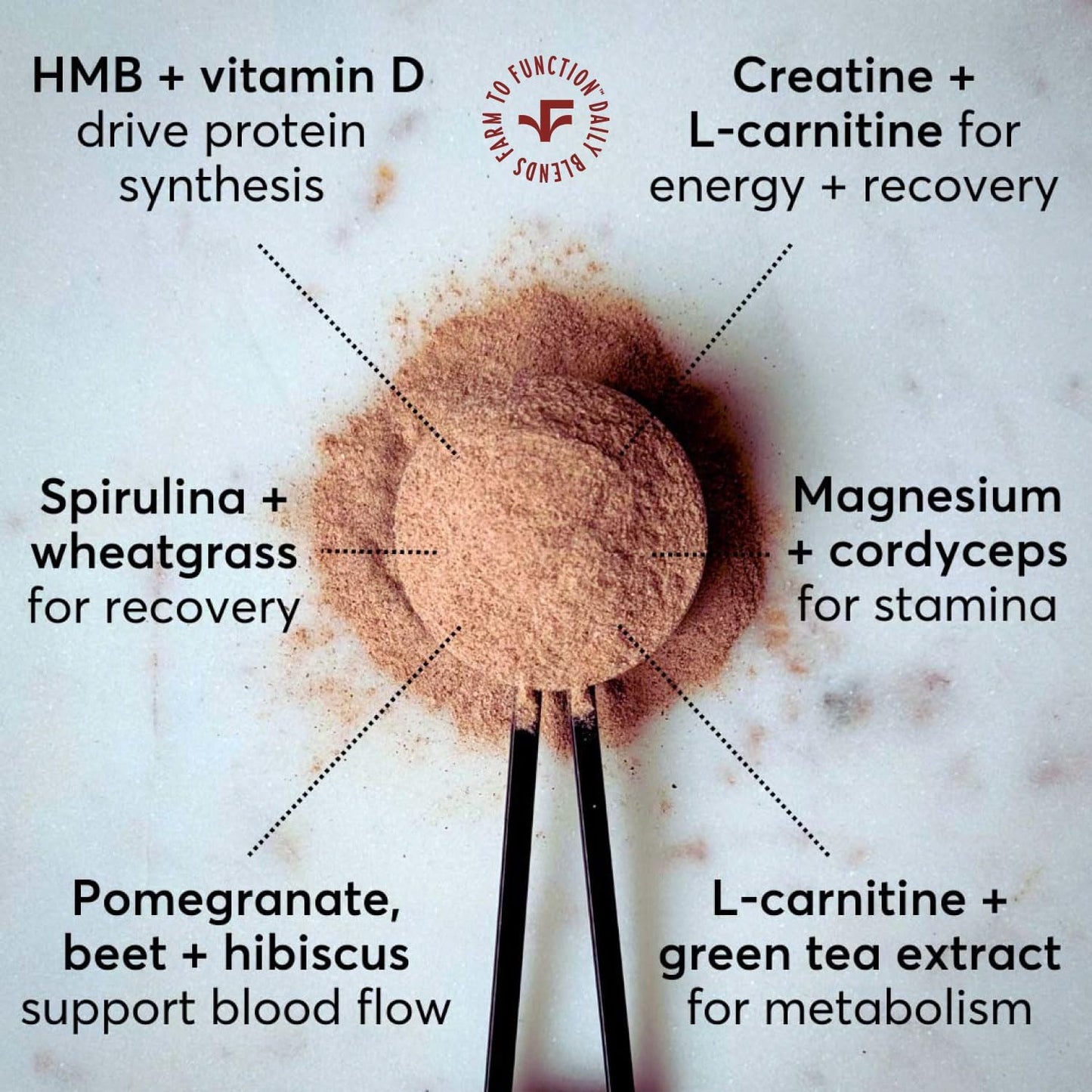 Organic Superfoods Pre-Workout Drink Mix with Amino Acids - Caffeine-Free Active Nutrition Supplement - Blood Orange Pomegranate Flavor