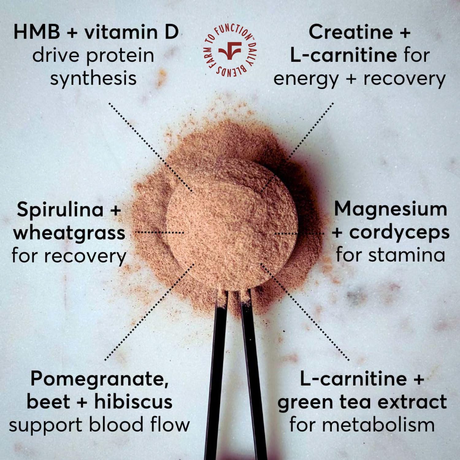 Organic Superfoods Pre-Workout Drink Mix with Amino Acids - Caffeine-Free Active Nutrition Supplement - Blood Orange Pomegranate Flavor