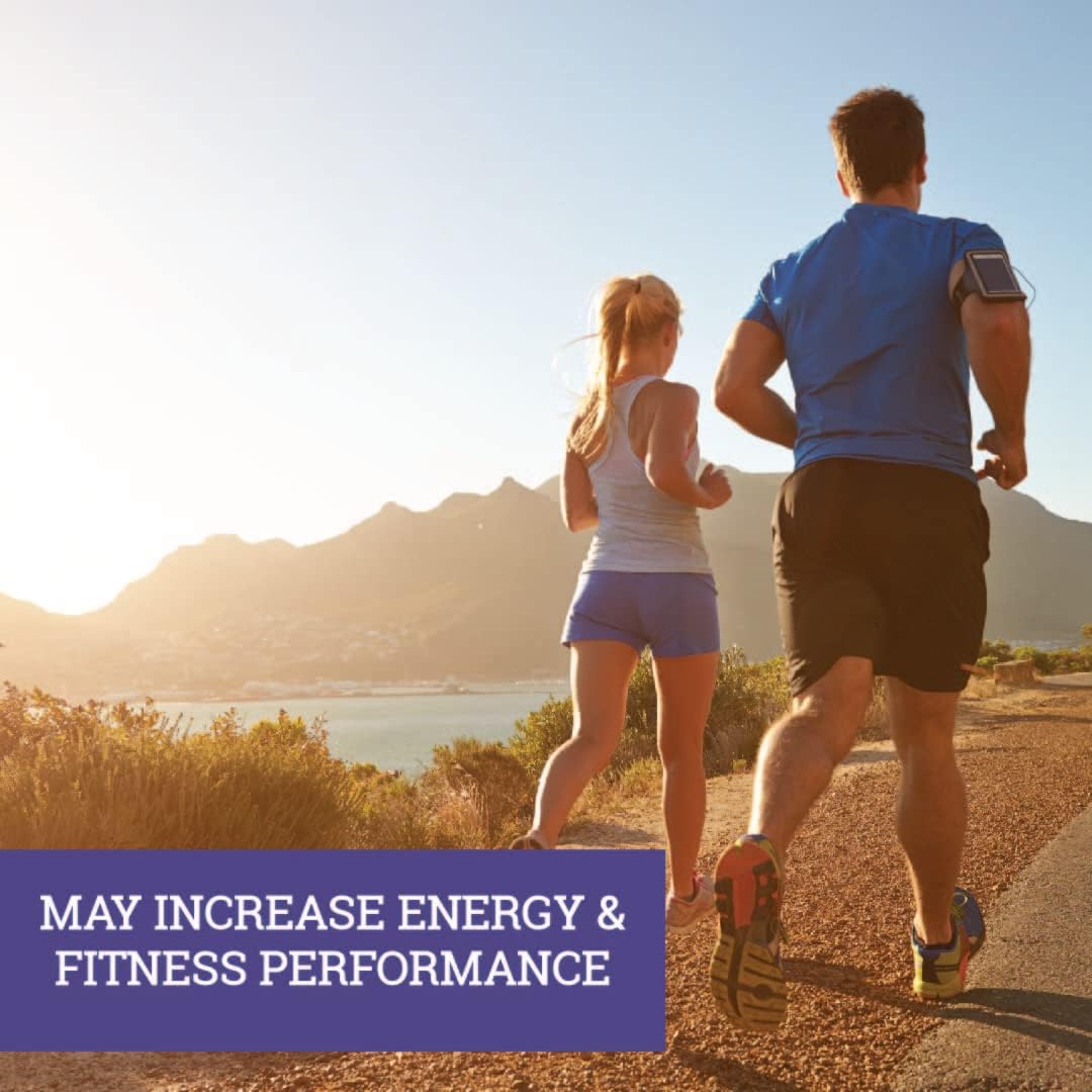 Organic Thai Black Ginger Powder for Men - 2.65oz - Non GMO Herbal Supplement for Energy & Endurance