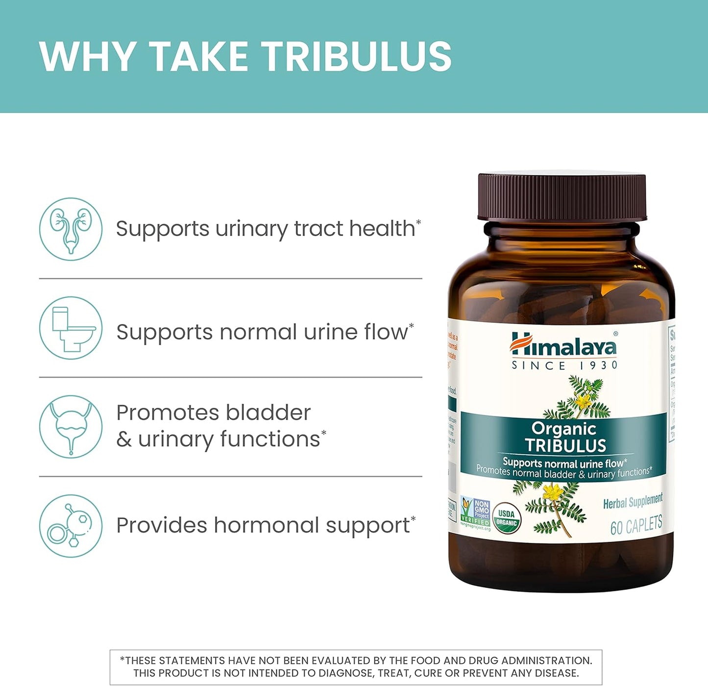 Organic Tribulus Terrestris Supplement for Urinary & Prostate Support - 688 mg Caplets for Male Energy & Stamina, Non-GMO & Vegan - 60 Count
