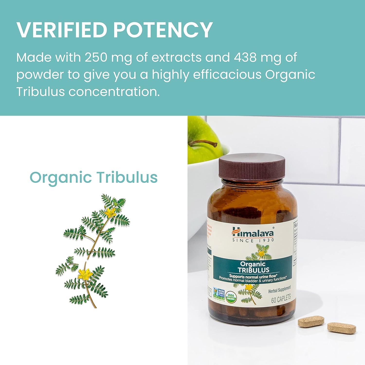 Organic Tribulus Terrestris Supplement for Urinary & Prostate Support - 688 mg Caplets for Male Energy & Stamina, Non-GMO & Vegan - 60 Count