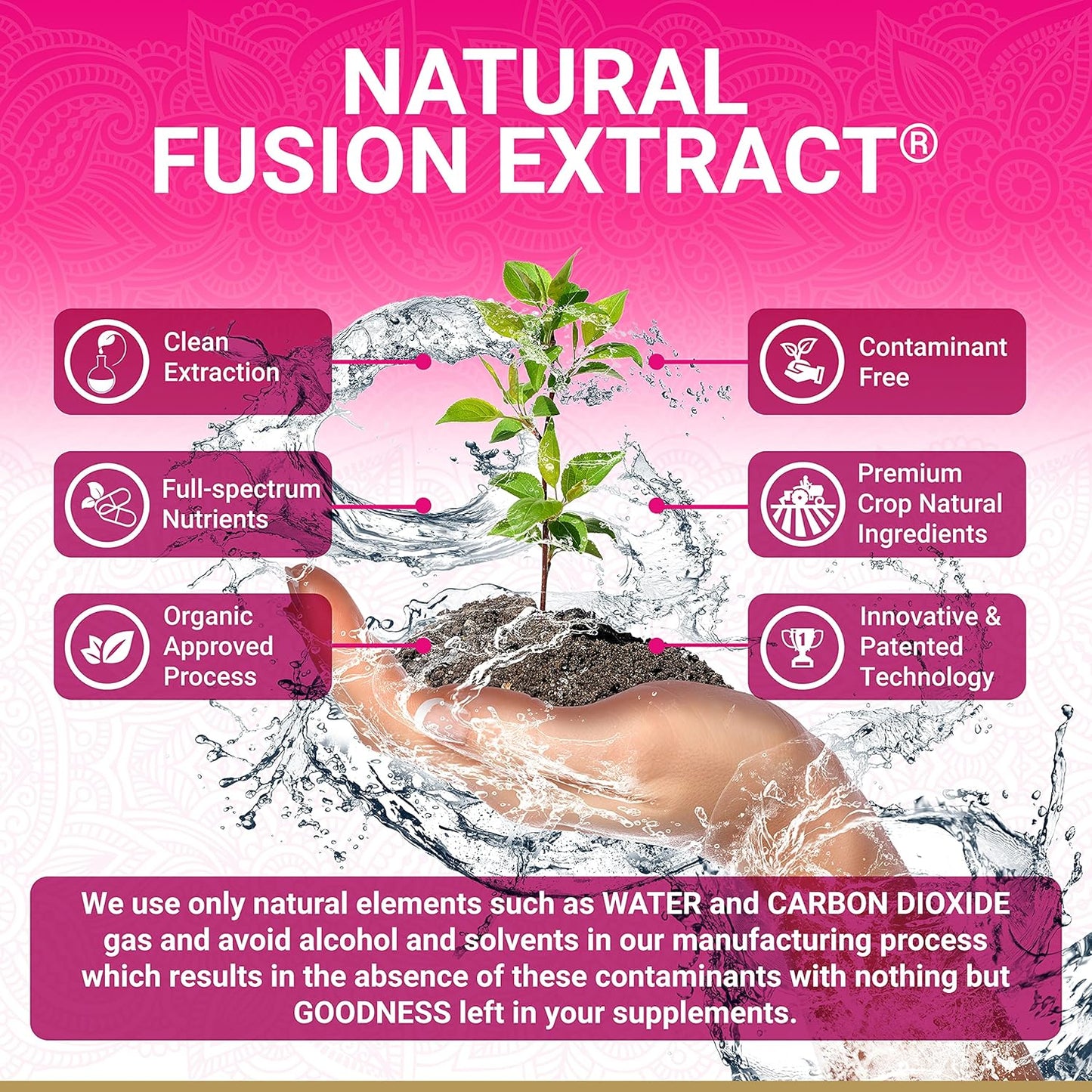 Organic True Veda Clarity Bundle with Bacopa and MenoHarmony Capsules - USDA Certified and Multi-Award-Winning