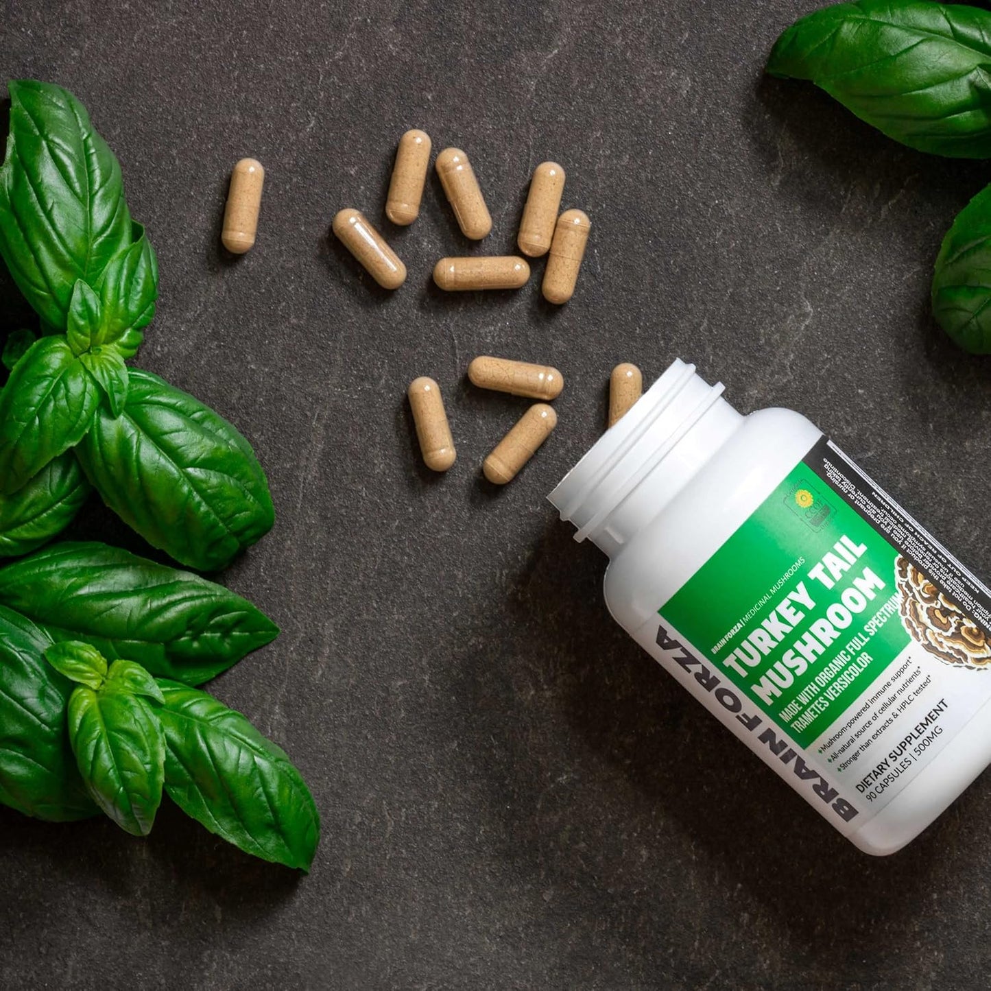 Organic Turkey Tail Mushroom Capsules for Immune, Liver & Digestive Health | Non-GMO, Vegan, 90 Capsules