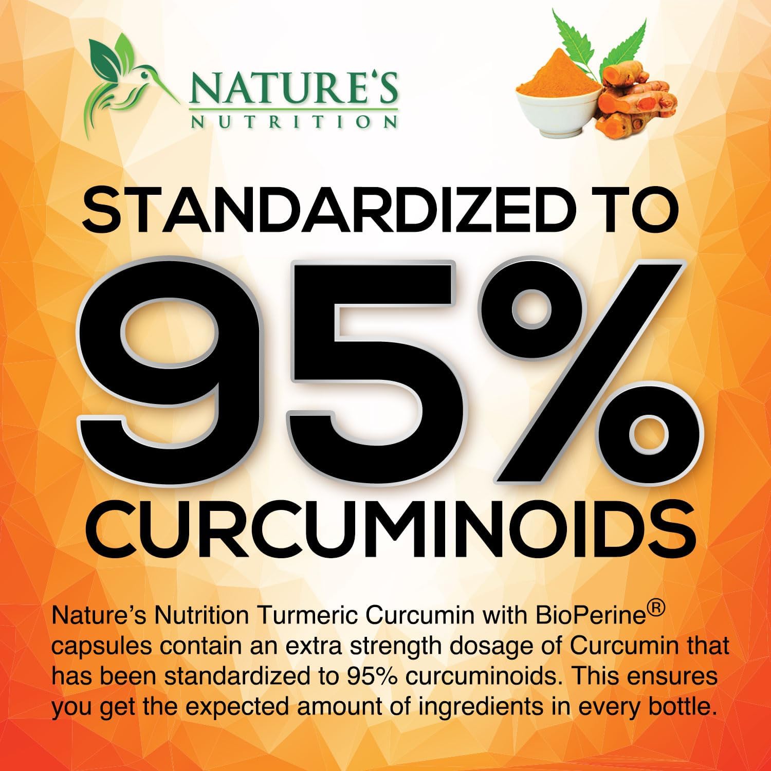 Organic Turmeric Curcumin Supplement with Ginger & BioPerine - 1950mg, 95% Curcuminoids, Vegan Joint Support - 60 Capsules, Non-GMO