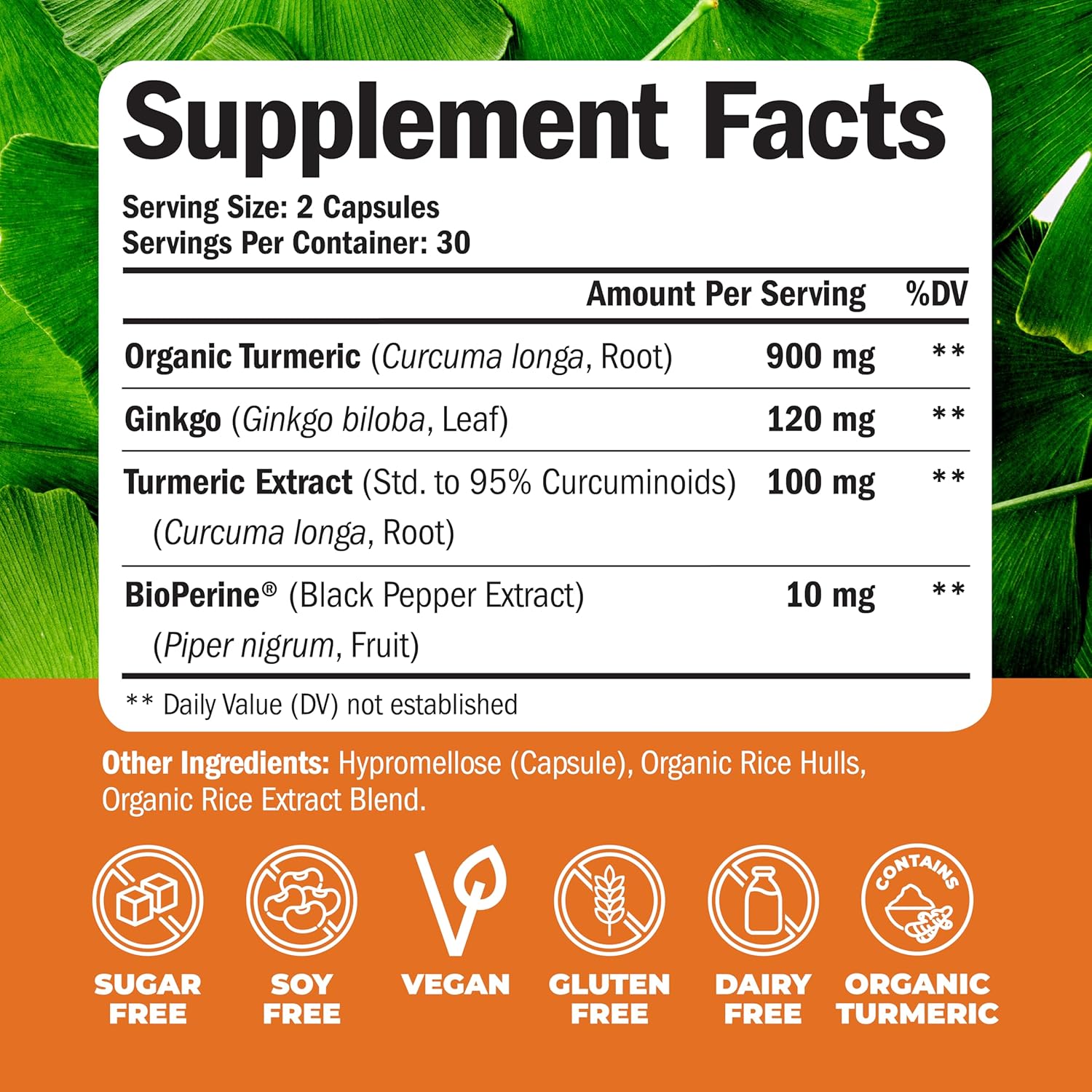 Organic Turmeric Curcumin with Black Pepper & Ginkgo Biloba - Joint Health, Brain Clarity, Memory, Focus, Concentration - Vegan (2 Pack)