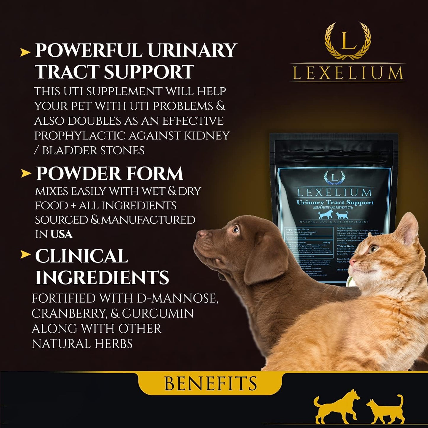 Organic UTI Support for Dogs & Cats with Cranberry, D Mannose & Curcumin - Promotes Kidney & Bladder Health - Prevents Stones - 200g