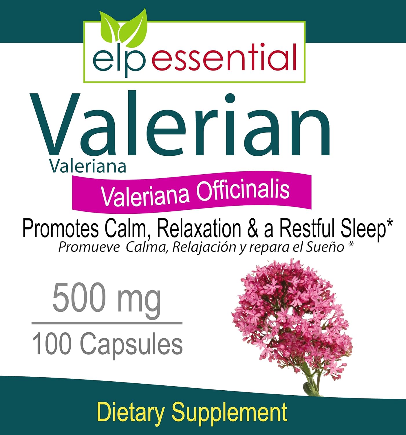 Organic Valerian Root Capsules 500mg - Natural Herb Extract Supplement (100 Pills)