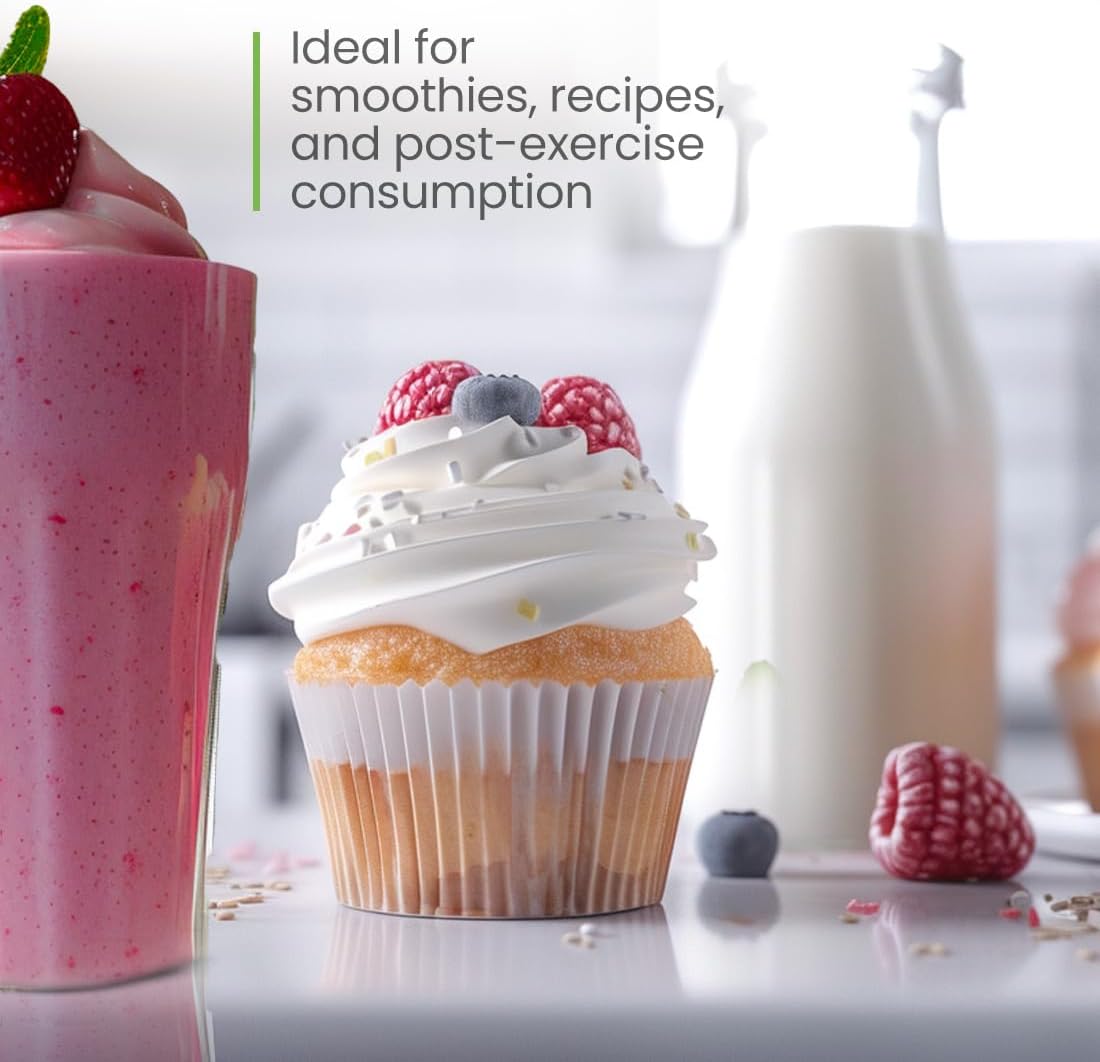 Organic Vanilla Cream Vegan Protein Powder - 1 lb, All Natural & Non-GMO Vegan Supplement