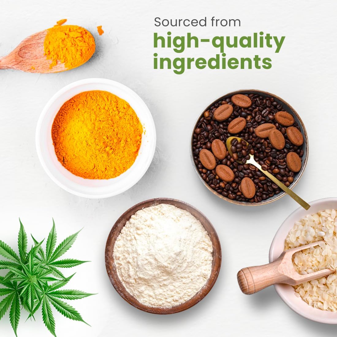 Organic Vanilla Cream Vegan Protein Powder - 1 lb, All Natural & Non-GMO Vegan Supplement