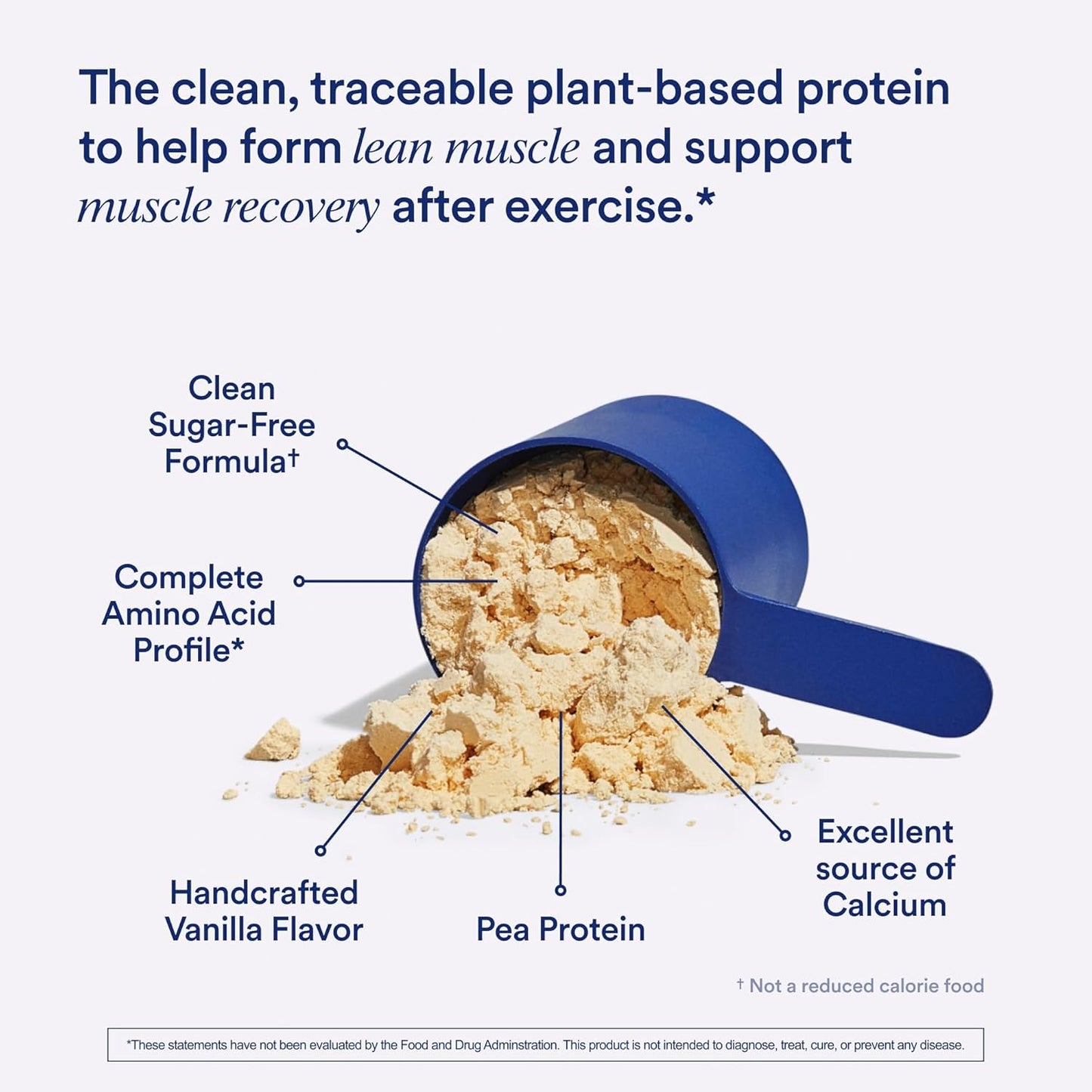 Organic Vanilla Vegan Protein Powder with BCAA, 20g Pea Protein from USA Farms, Gluten-Free, Non-GMO, 1 Lb