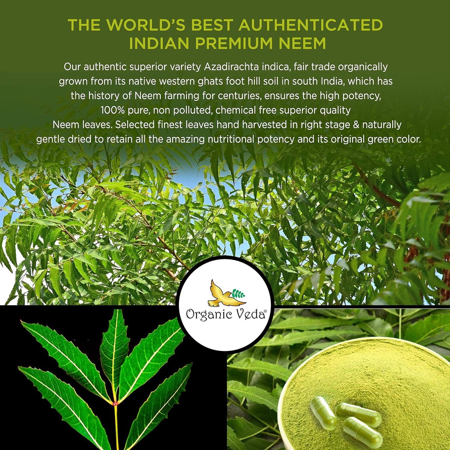Organic Veda Neem Capsules 1000mg - Ayurvedic Herbal Supplement for Skin, Immune Support, Detox - 120 Veg Capsules