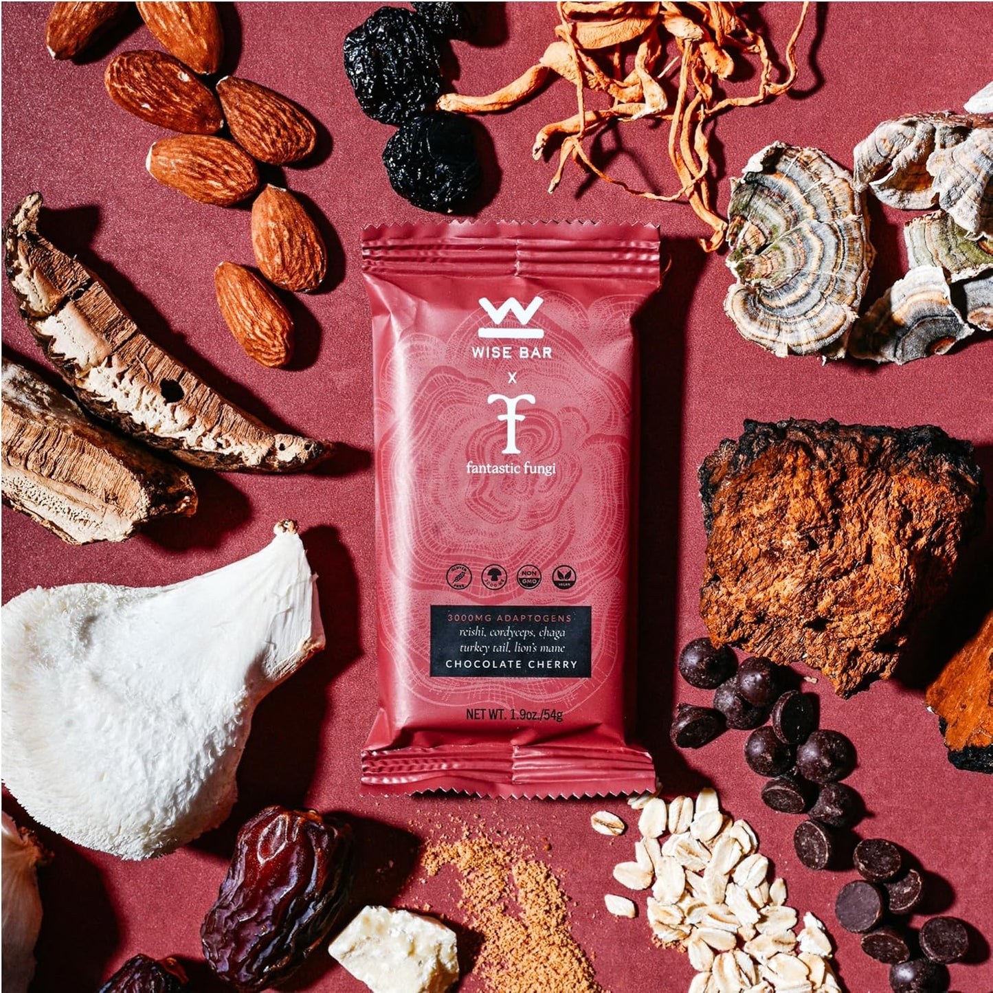 Organic Vegan Adaptogen Mushroom Nutrition Bars for Natural Focus & Energy, Gluten-Free Snacks with Reishi, Lions Mane, Ashwagandha, Chocolate Cherry Flavor - 12 Count