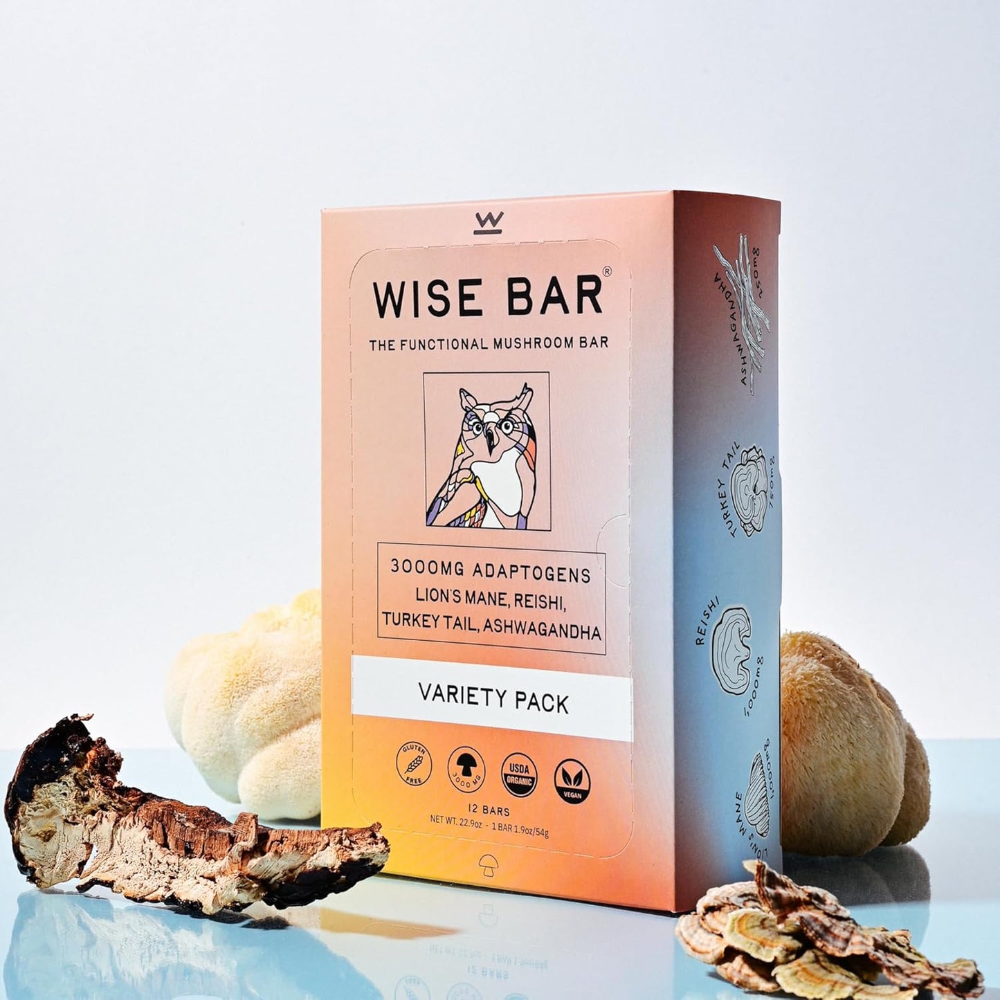 Organic Vegan Adaptogen Mushroom Nutrition Bars with Reishi, Lions Mane & Ashwagandha - Gluten Free Snacks for Focus, Energy & Immunity - Variety Flavor Pack, 12 Count