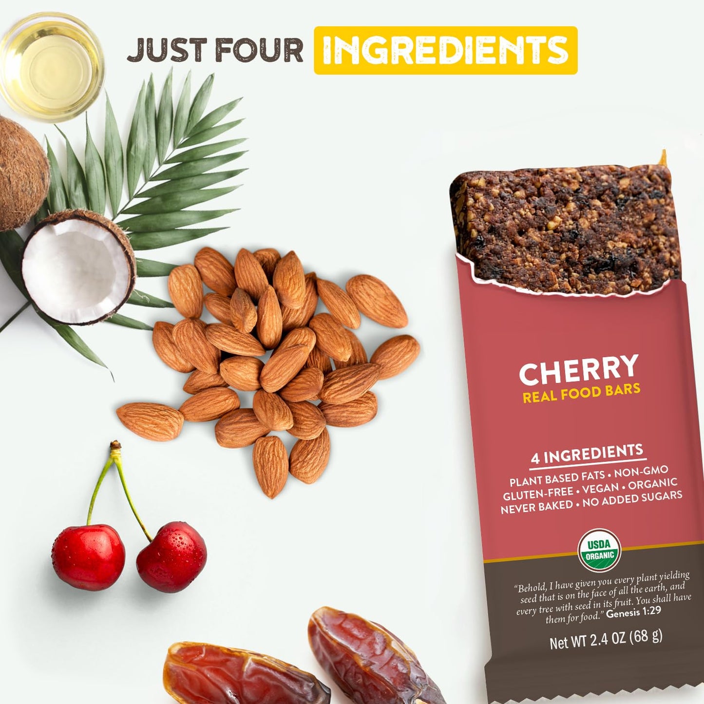 Organic Vegan Cherry Real Food Bar - Gluten Free Protein Bars, Low Sugar Meal Replacement - Non GMO Plant Based, Crafted for Enjoyment
