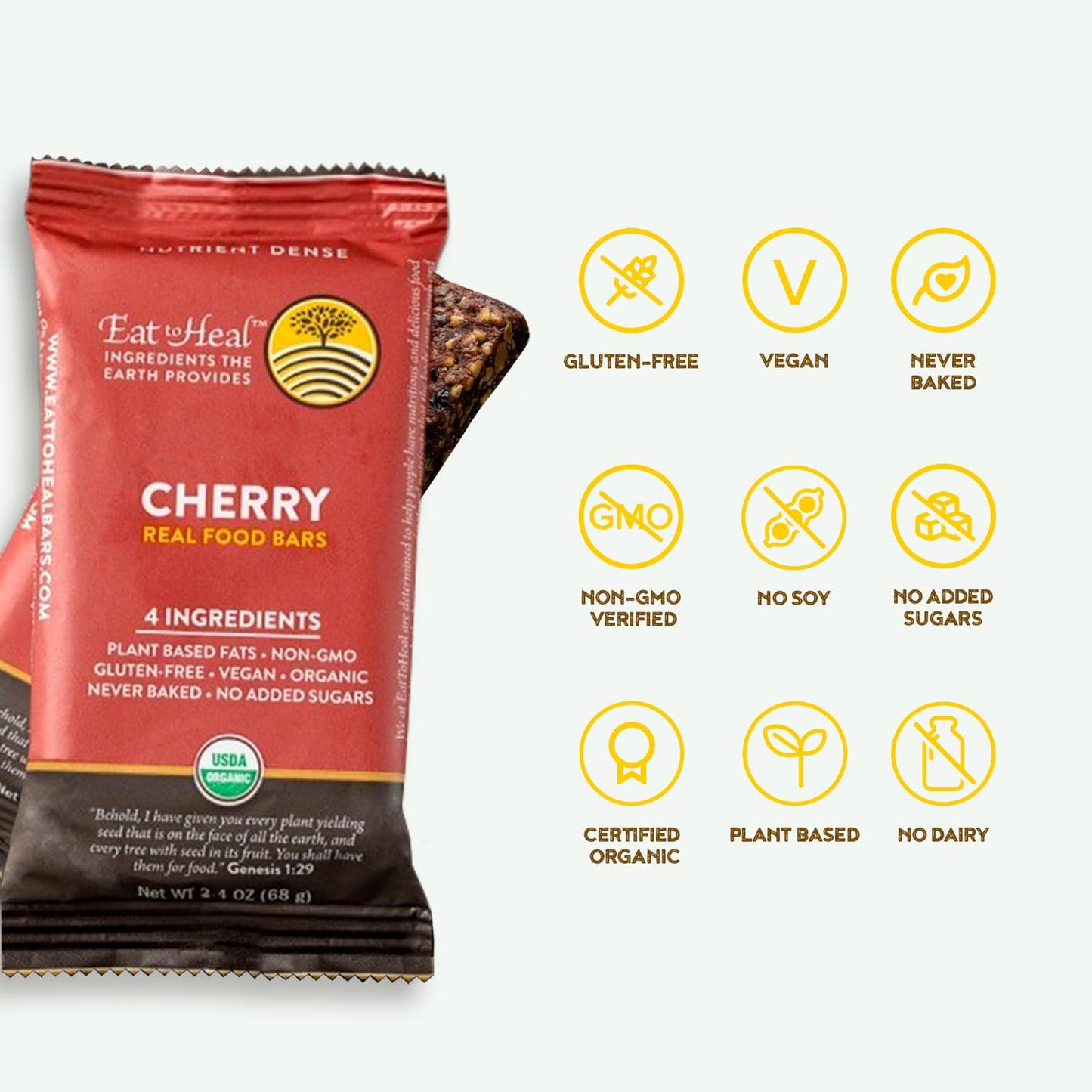 Organic Vegan Cherry Real Food Bar - Gluten Free Protein Bars, Low Sugar Meal Replacement - Non GMO Plant Based, Crafted for Enjoyment