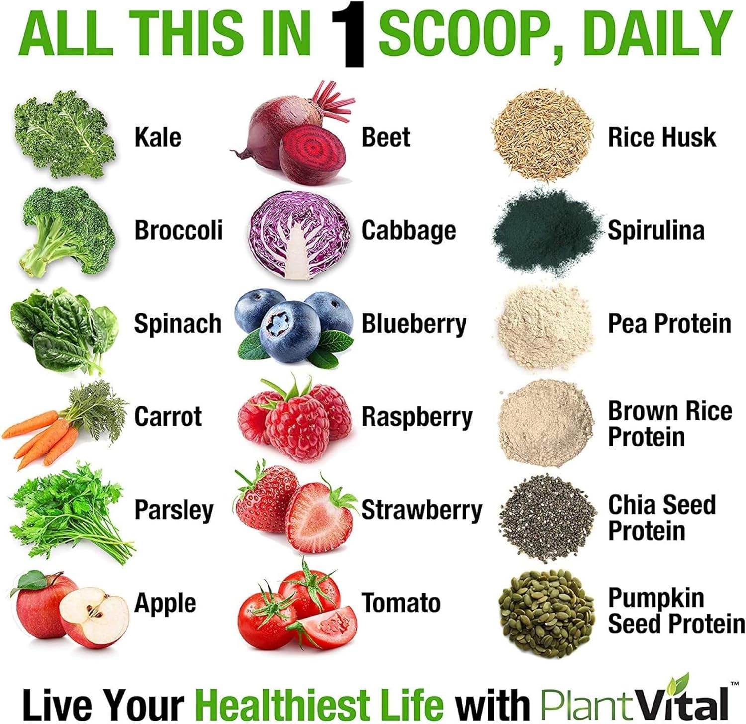 Organic Vegan Protein Powder with 15 Superfoods, Veggies, and Probiotics - Plant-Based Protein Powder with BCAAs - Gluten-Free - 16oz (2 Pack)