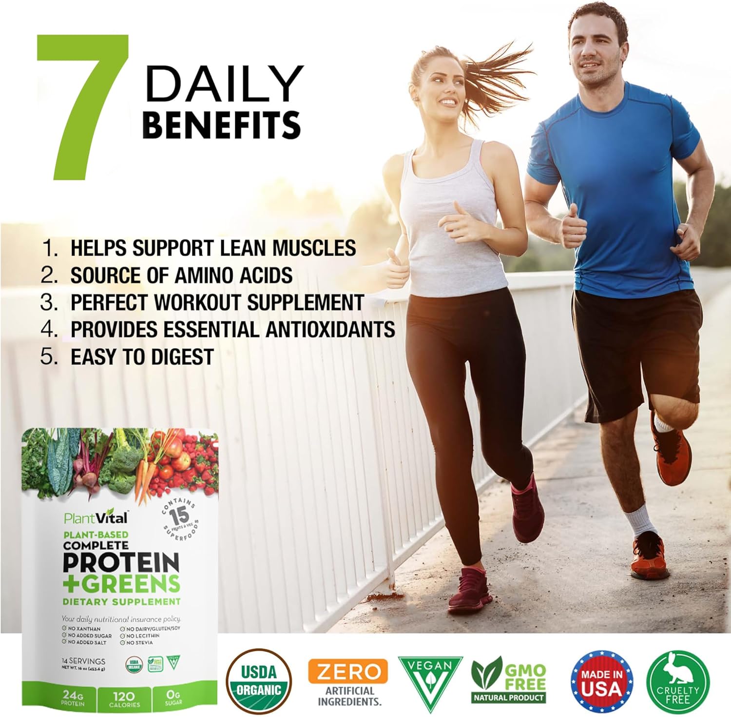 Organic Vegan Protein Powder with 15 Superfoods, Veggies, and Probiotics - Plant-Based Protein Powder with BCAAs - Gluten-Free - 16oz (2 Pack)