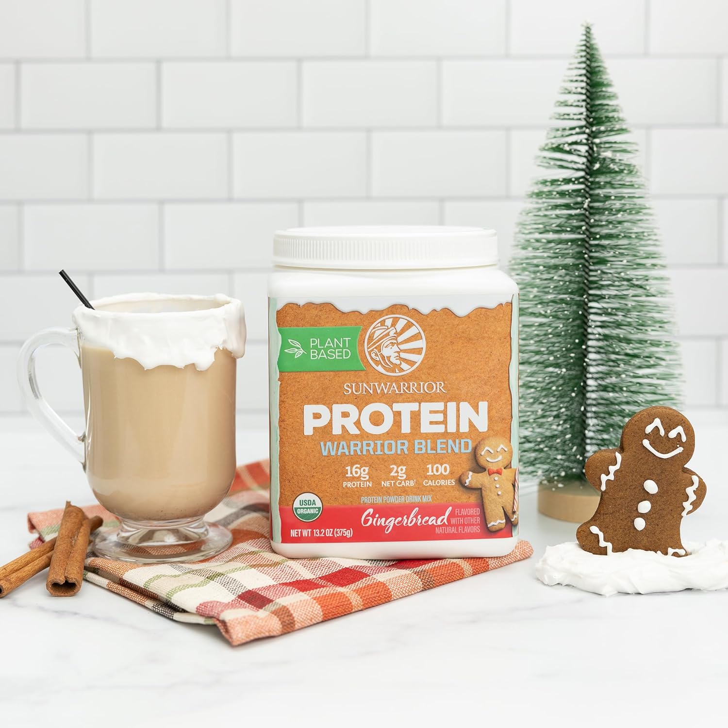 Organic Vegan Protein Powder with BCAA Amino Acids - Gingerbread Flavored, Non-GMO, Plant-Based, Dairy & Gluten-Free - 15 Servings