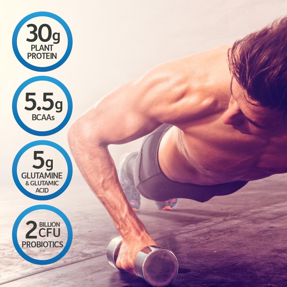 Organic Vegan Sport Protein Powder with Probiotics, BCAAs, 30g Plant Protein, Zinc, and Vitamin C - Vanilla Flavor