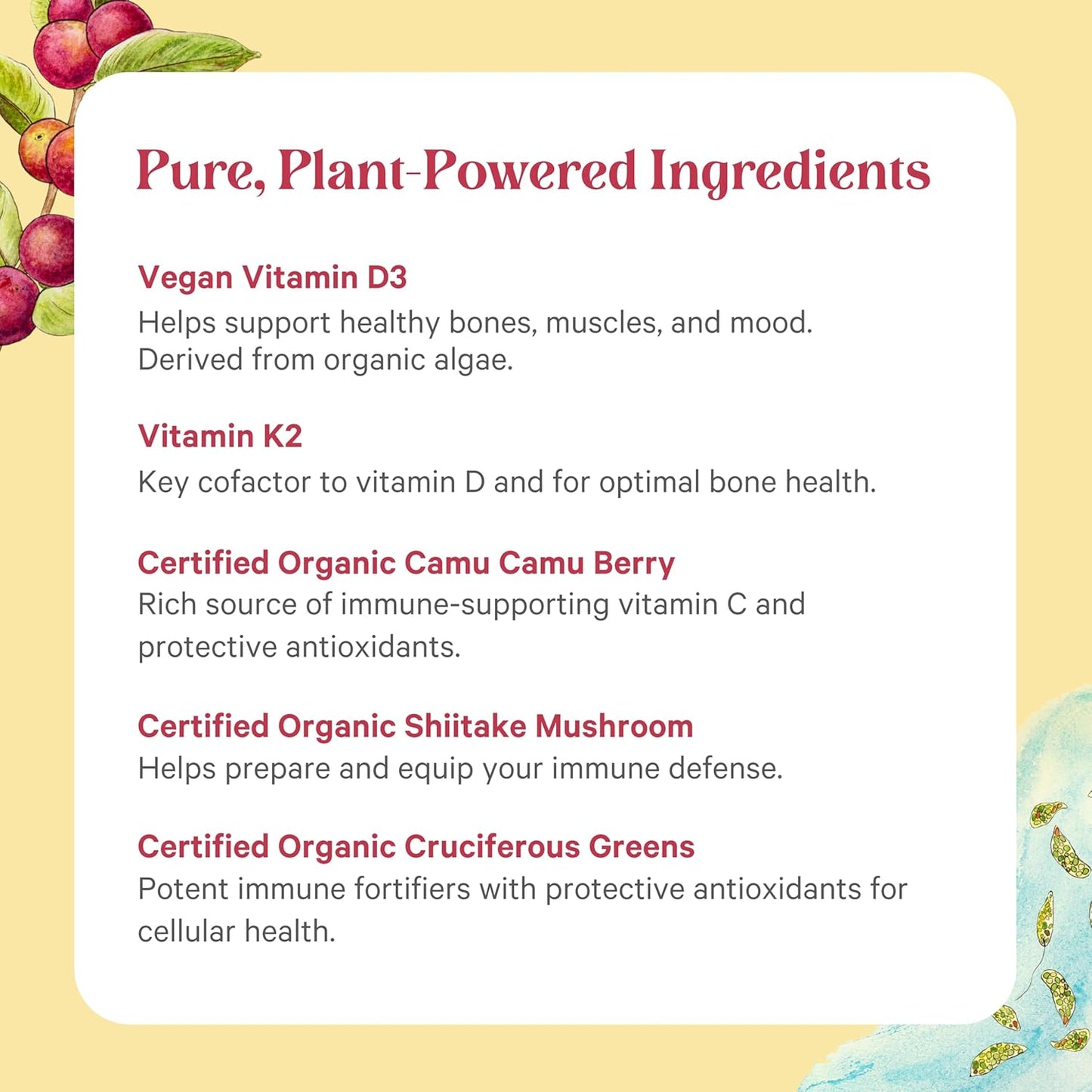 Organic Vegan Vitamin D3 K2 Complex with Whole Foods - Supports Bone, Brain, and Immune Health - 60 Capsules