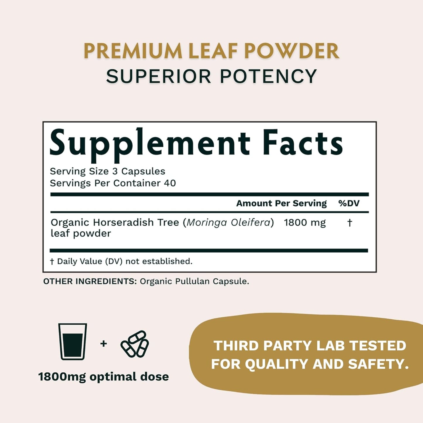 Organic Warrior Trio Supplement: KSM-66 Ashwagandha, Moringa, Lions Mane Blend