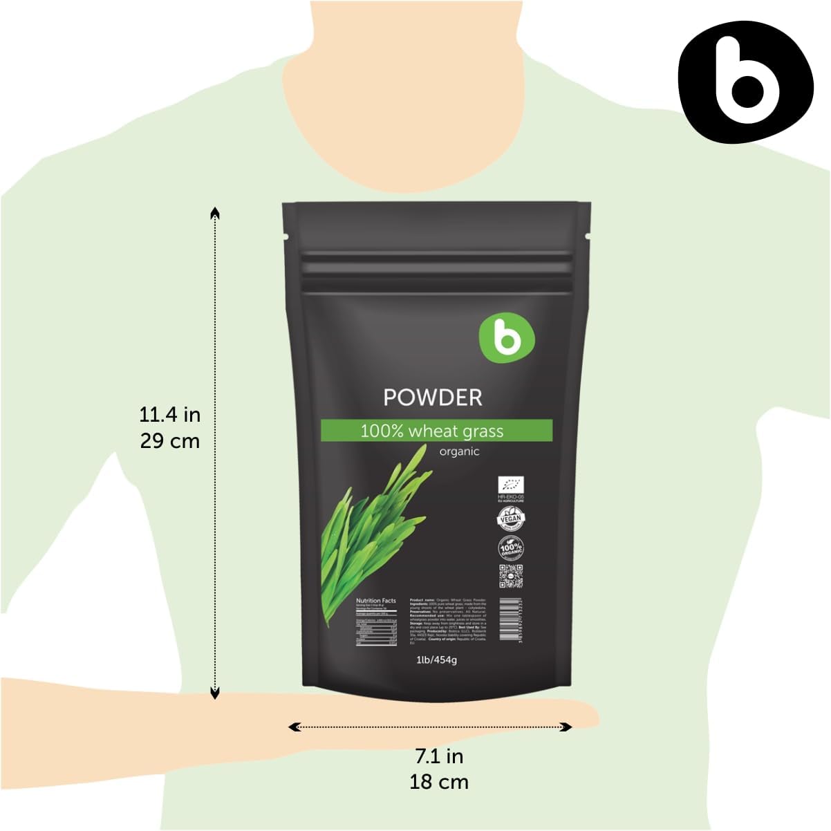 Organic Wheatgrass Powder for Detox & Immunity Support - Superfood Rich in Fibers, Chlorophyll, Minerals - Vegan, Gluten-Free, Raw - 1lb