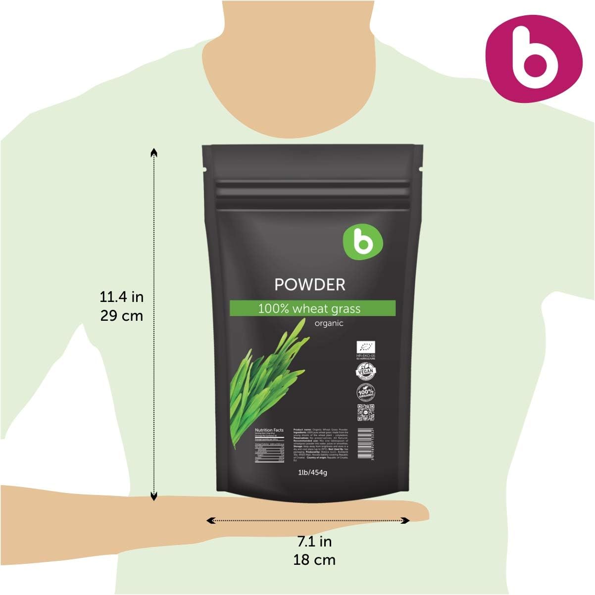 Organic Wheatgrass Powder for Detox & Immunity Support - Superfood Rich in Fibers, Chlorophyll, Minerals - Vegan, Gluten-Free, Raw - 1lb