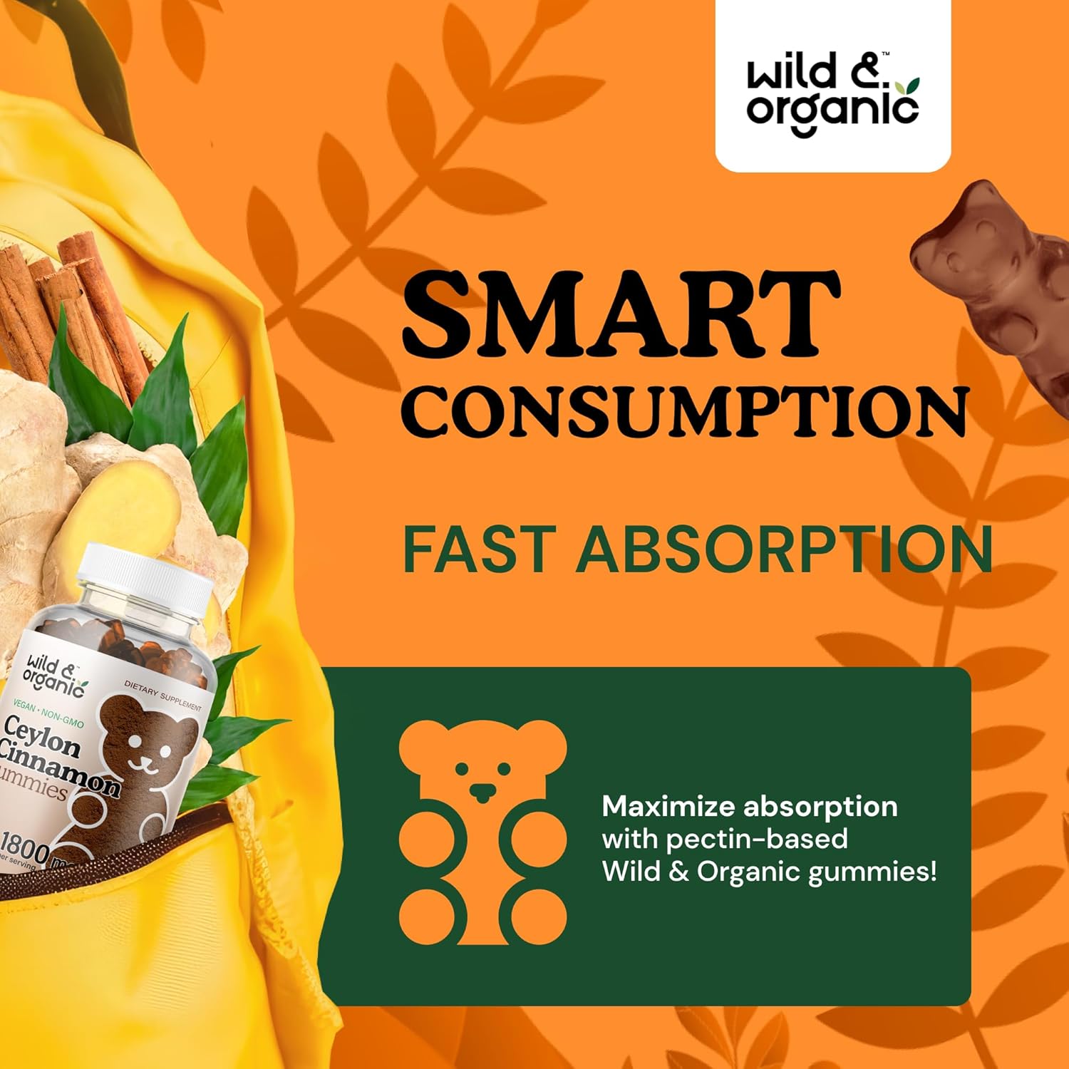 Organic Wild Ceylon Cinnamon Gummies and Gymnema Tincture - Natural Supplements for Health