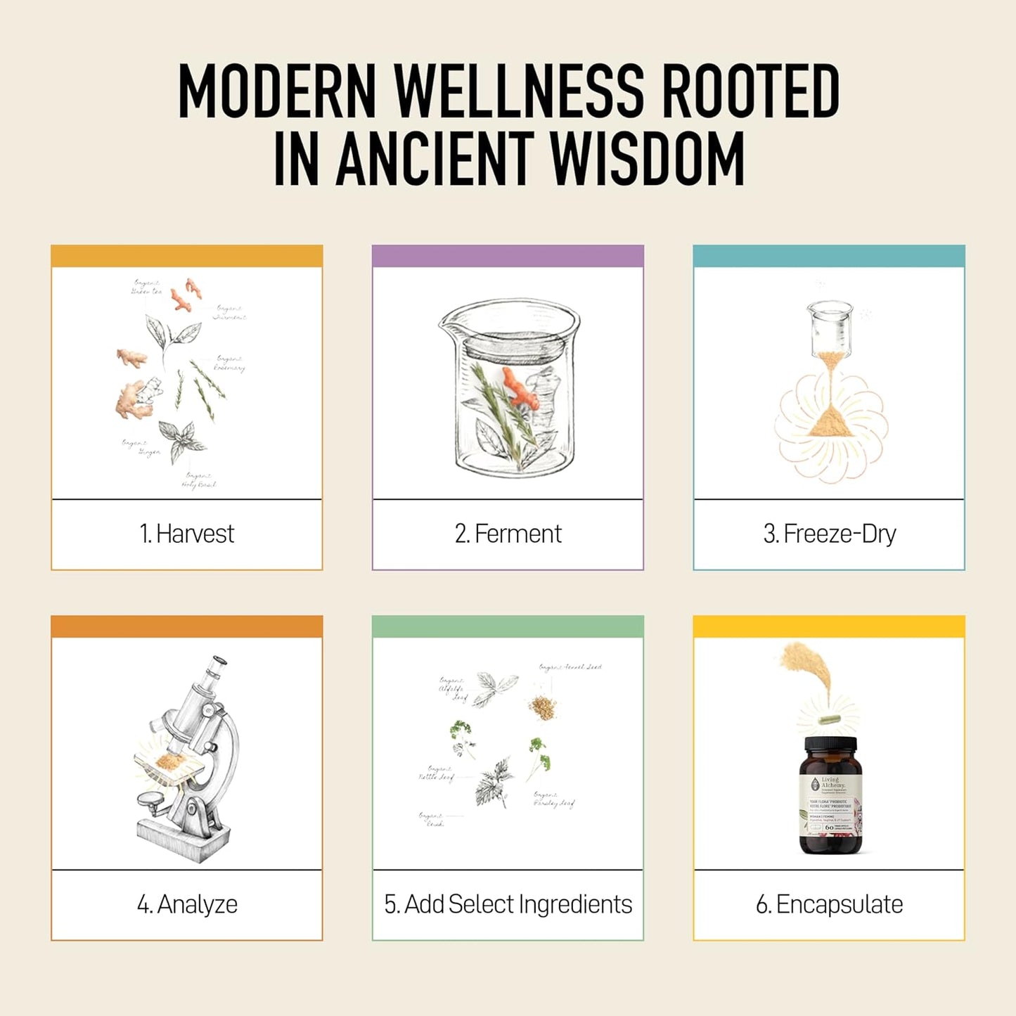 Organic Women's UT Balance Probiotic by Living Alchemy - 60 Capsules