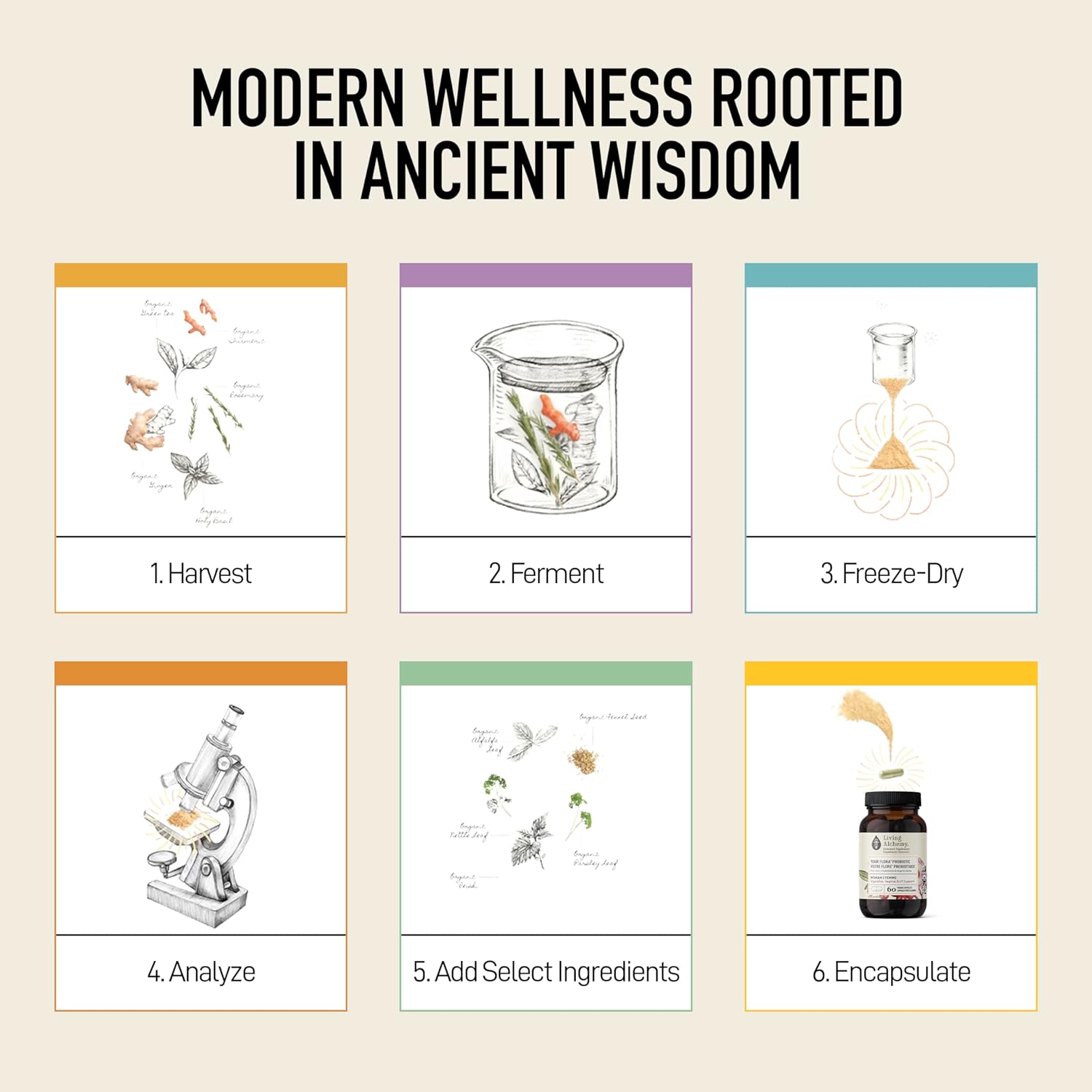 Organic Women's UT Balance Probiotic by Living Alchemy - 60 Capsules