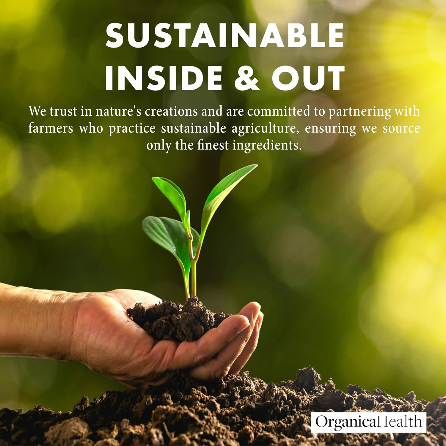 OrganicaHealth Organic Quinine with Zinc 50mg for Leg Cramps & Restless Legs - Cinchona Bark Supplement for Muscle Cramp Relief - 70 Vegan Capsules