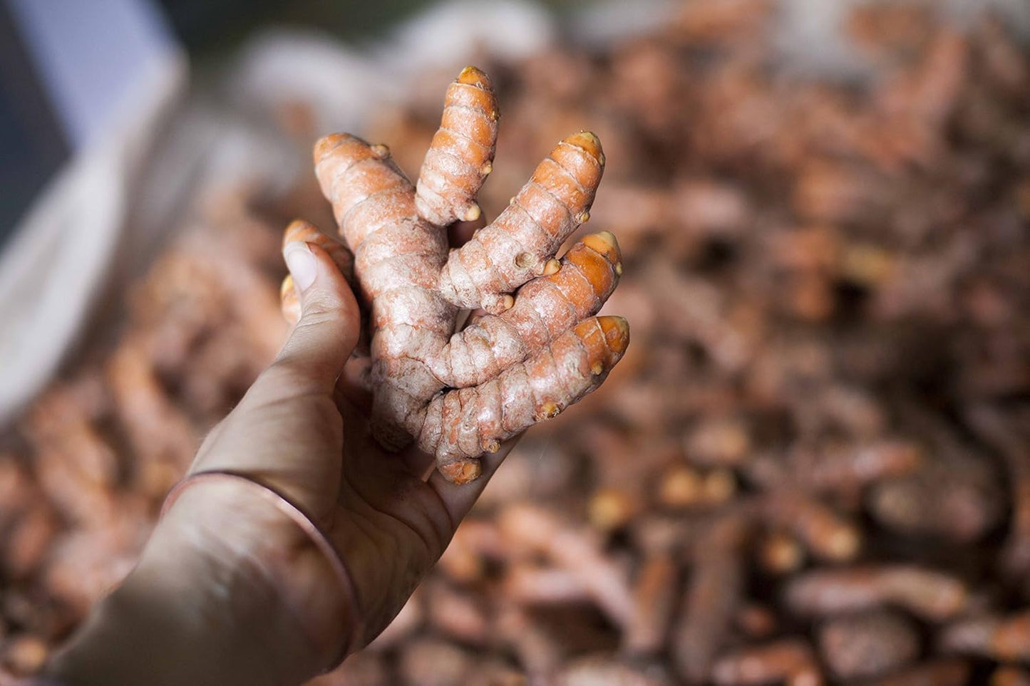 Organically Grown Turmeric and Ginger Herbal Supplement Capsules from Maui - 60-400mg Veggie Caps (Made in USA)