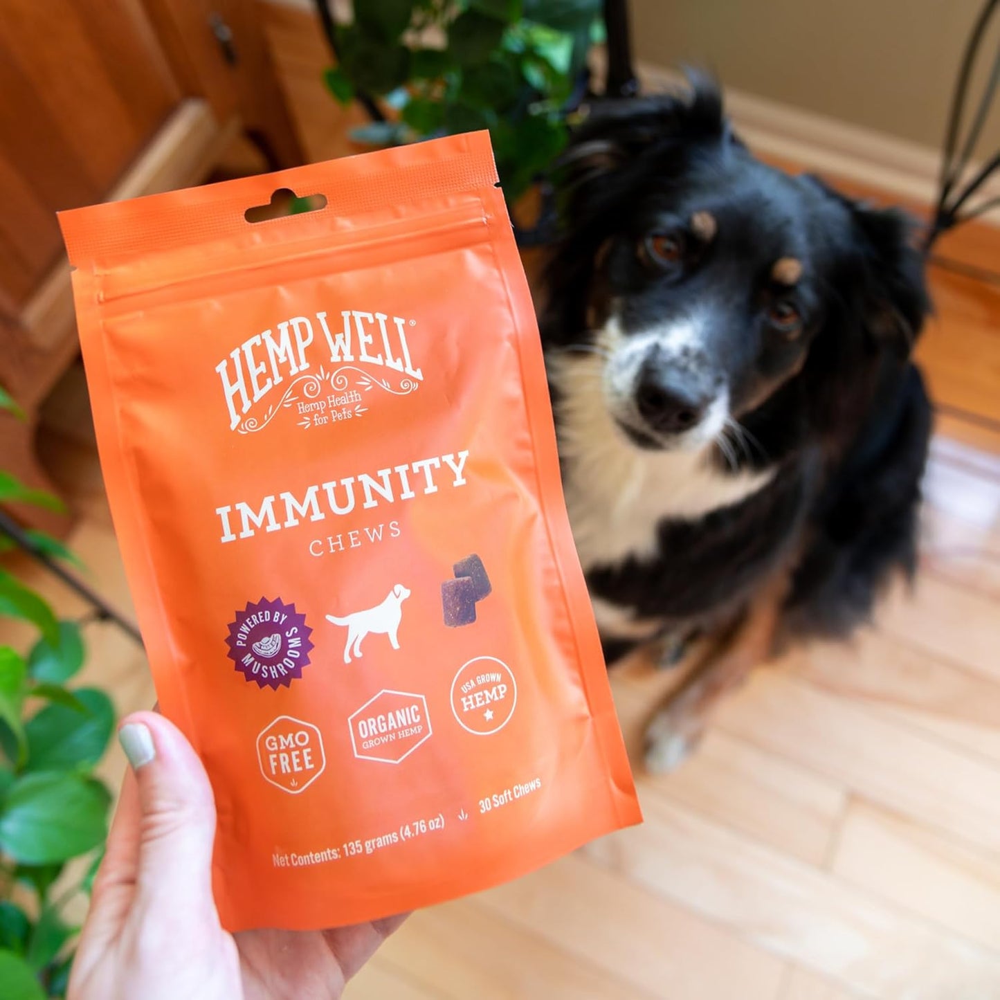 Organicmetabolism boosterWell Immune Soft Chews for Dogs - Allergy Support & Skin Health - Seasonal Allergy Relief - Gut & Immune System Support - 30 Chews