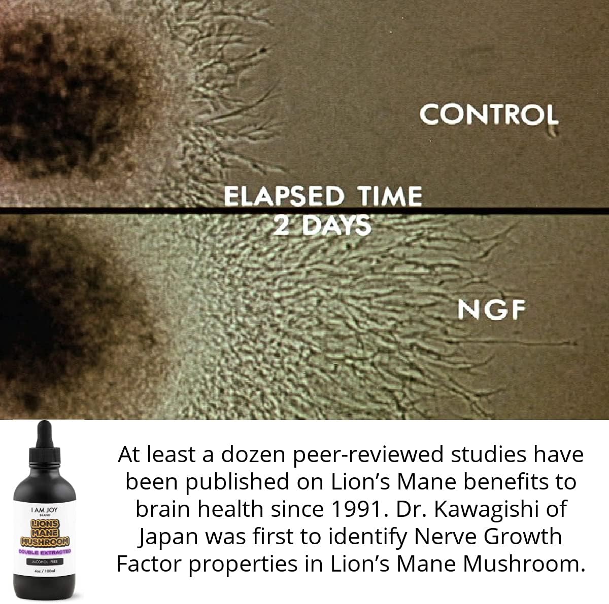 Ormus Infused Colloidal Gold Supplement with Lions Mane for Enhanced Cognitive Function