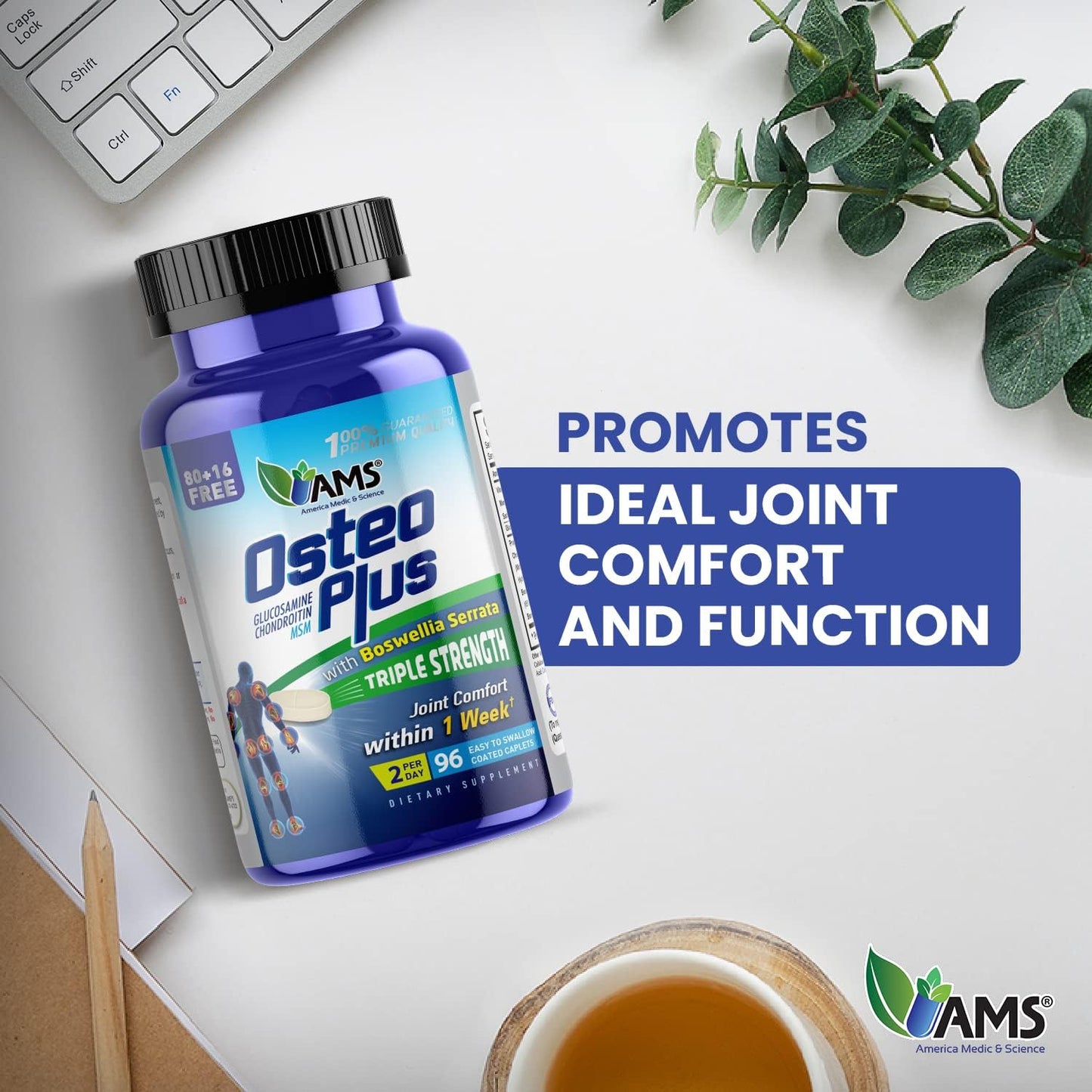 Osteo Plus Joint Supplement with Boswellia Serrata & MSM - 96 Caplets for Men and Women