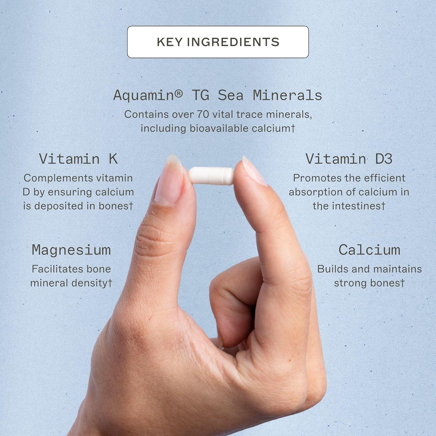 OsteoDura Bone Strength Supplement with Sea Minerals & Vitamin K - Support Bone Growth & Flexibility - 120 Capsules