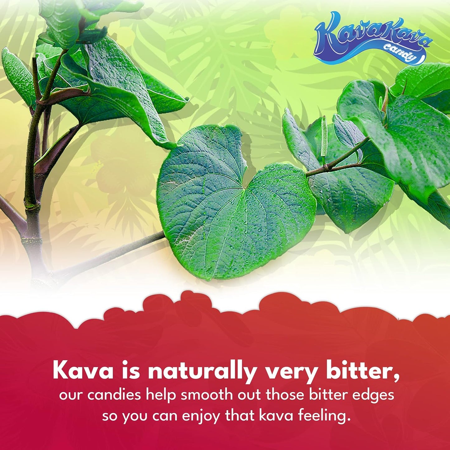 Ozia Originals Kava Kava Candy - Natural Stress Relief Supplement with Kava Extract, 32 Candies in Ginger Mint Flavor Pack
