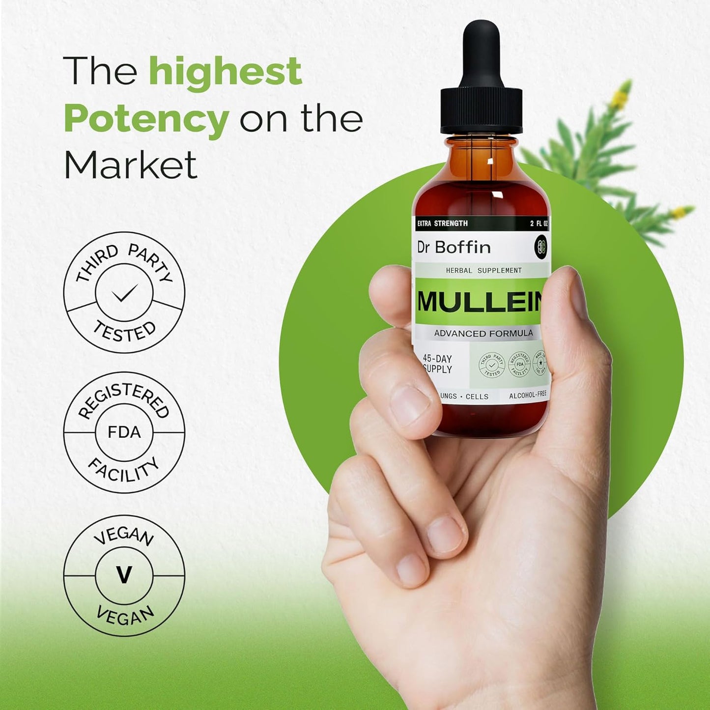 Pack of 2 Dr Boffin Mullein Leaf Liquid Extract 2 Fl Oz - Extra Strength Lung Cleanse and Detox Supplement Tincture for Respiratory Health and Immune Support