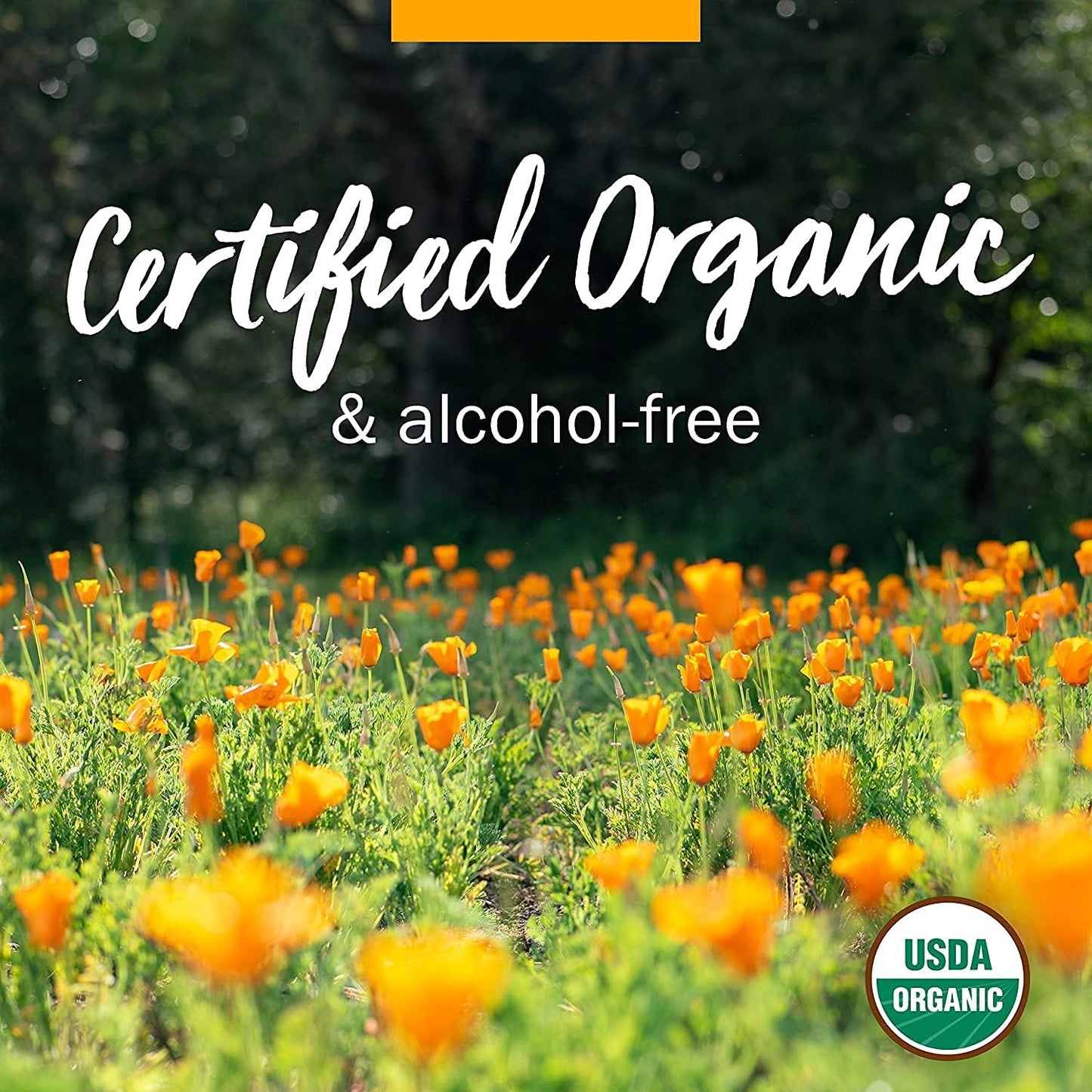 Pack of 2 Herb Pharm Certified Organic Elder Liquid Extract - 1 Ounce Each