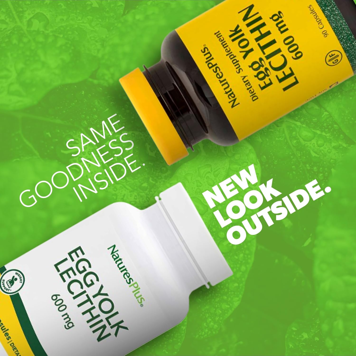 Pack of 2 Natures Plus Egg Yolk Lecithin Capsules - 600 mg, 90 Vegetarian Capsules - Supports Liver Function & Immune System - Soy and Gluten Free - 90 Servings