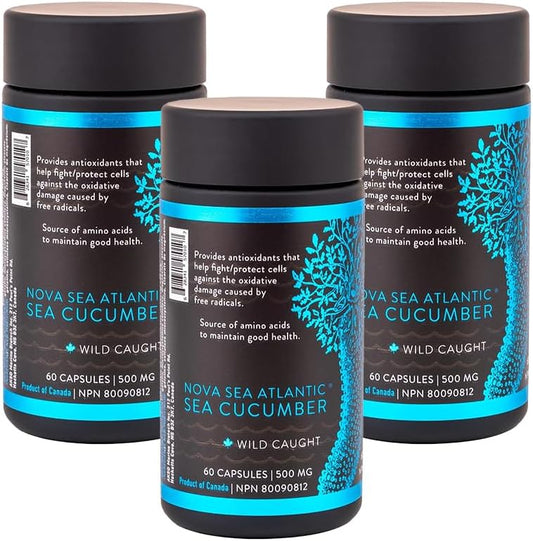 Pack of 3 Nova Sea Atlantic Wild Sea Cucumber Antioxidant Supplement Capsules with Fucosylated Chondroitin Sulfate