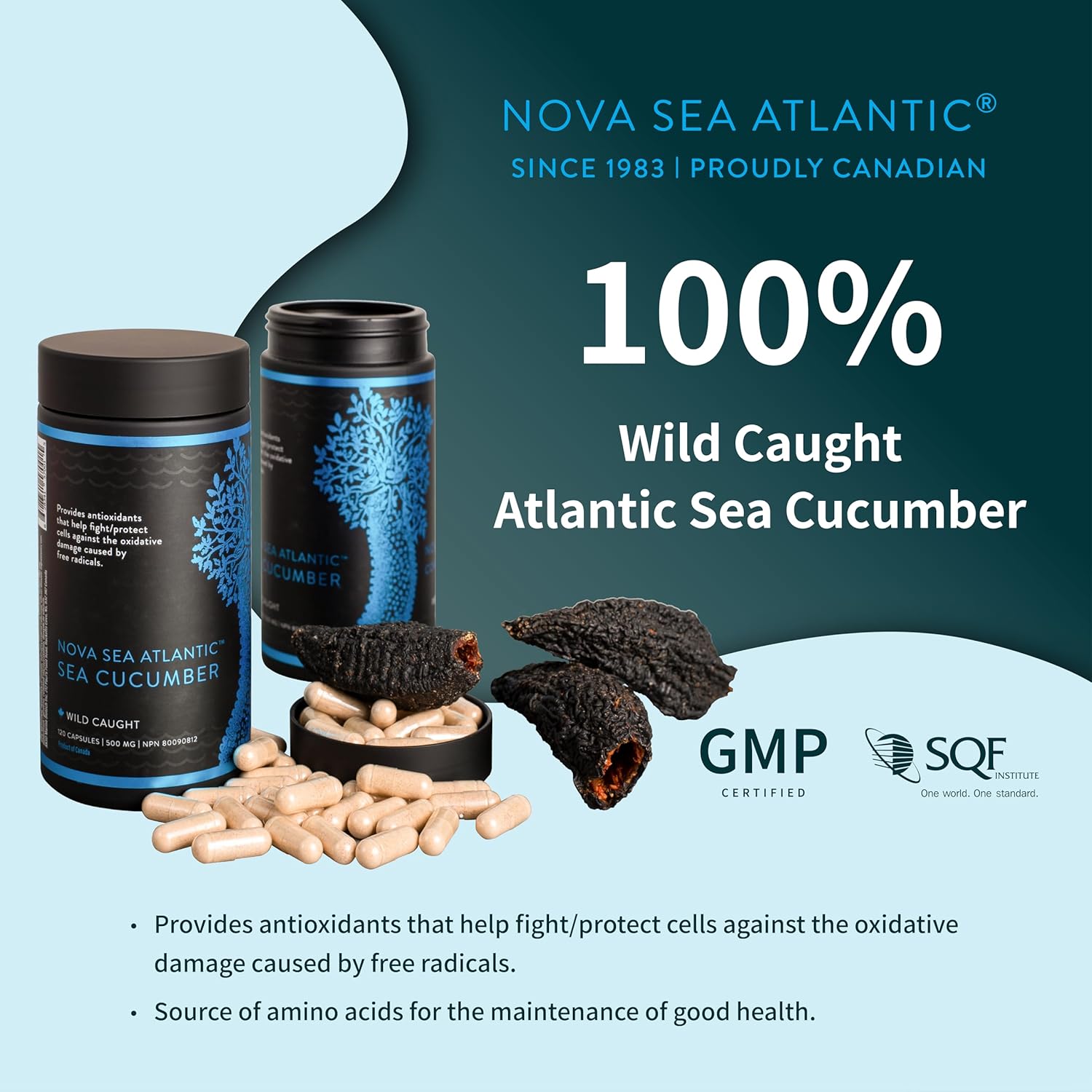 Pack of 3 Nova Sea Atlantic Wild Sea Cucumber Antioxidant Supplement Capsules with Fucosylated Chondroitin Sulfate