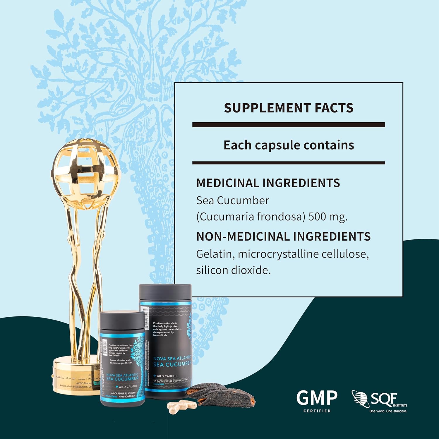 Pack of 3 Nova Sea Atlantic Wild Sea Cucumber Antioxidant Supplement Capsules with Fucosylated Chondroitin Sulfate