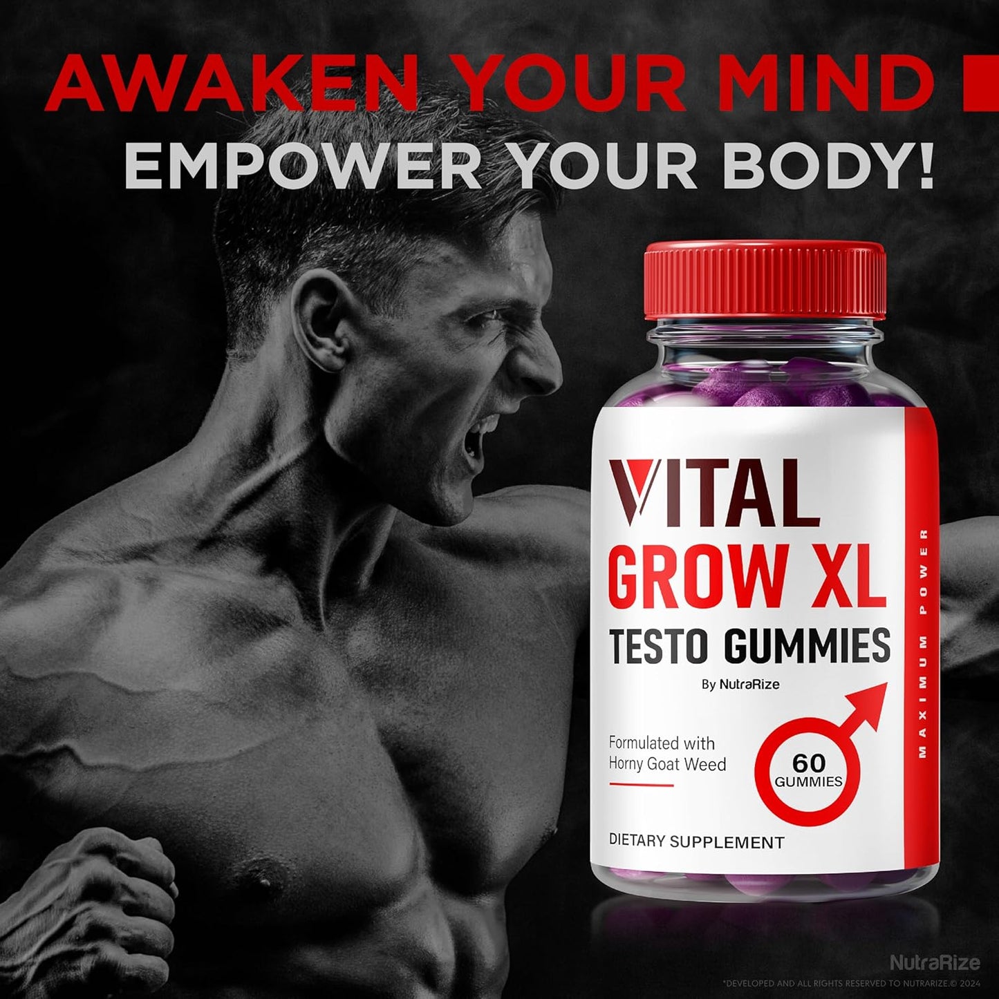 Pack of 5 NutraRize Vital Grow XL Testo Gummies for Men - Stamina and Confidence Boost (300 Gummies)