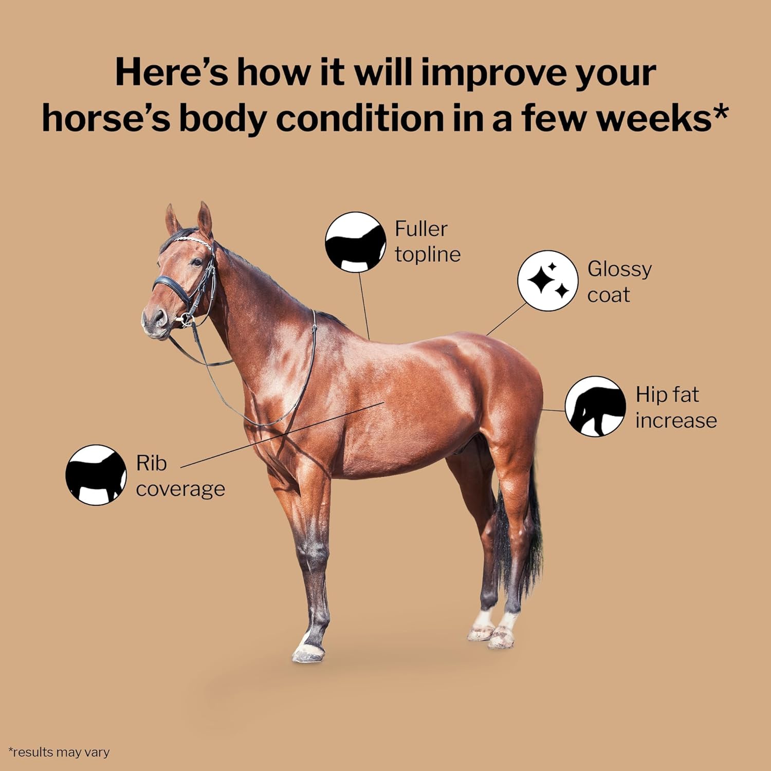 Palatable Equine Weight Gain Supplement, 28 Day Supply - Calorie-Rich Support for Hard-to-Keep & Senior Horses