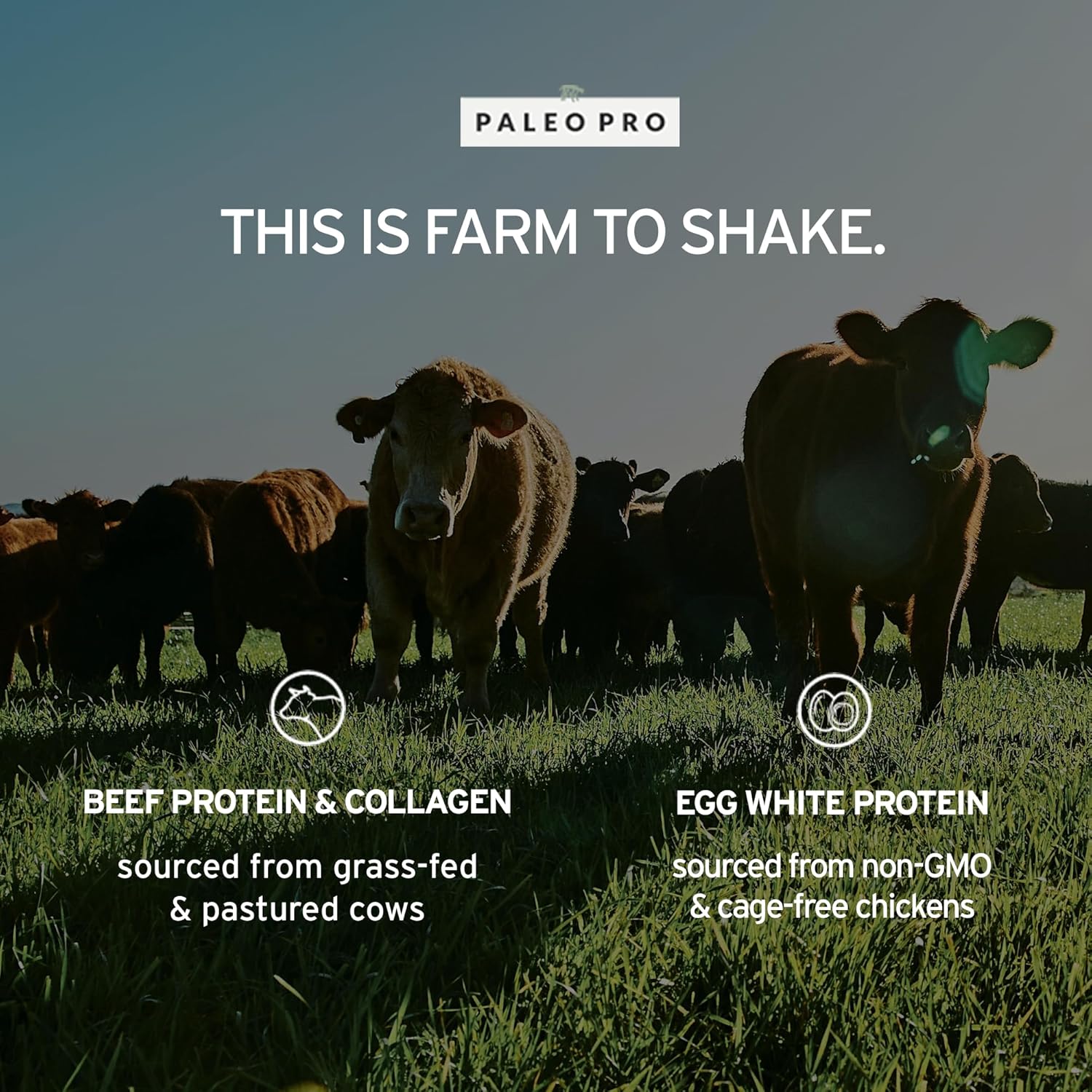 PaleoPro Grass-Fed Protein Powder - Gluten & Dairy Free, Paleo & Keto Friendly with No Sugar, Soy, Grains, or Net Carbs - Ancient Cacao Flavor - 15 Servings - 16 oz